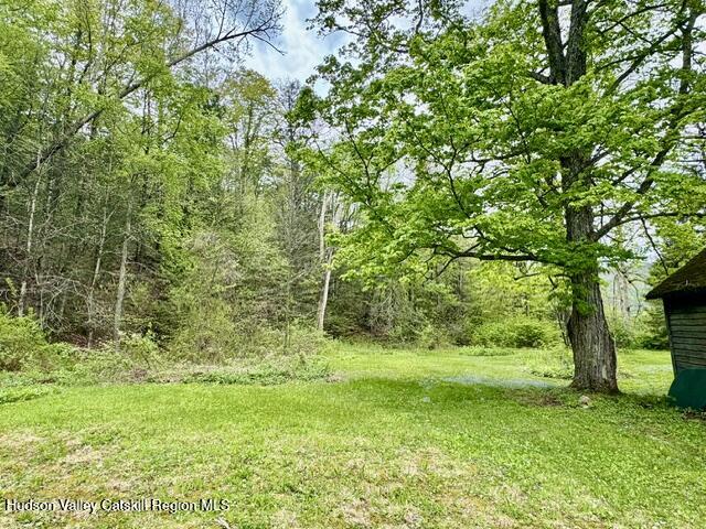 25 Wright Road Lanesville, NY 12450 - Photo 5 of 18 IMG_7836