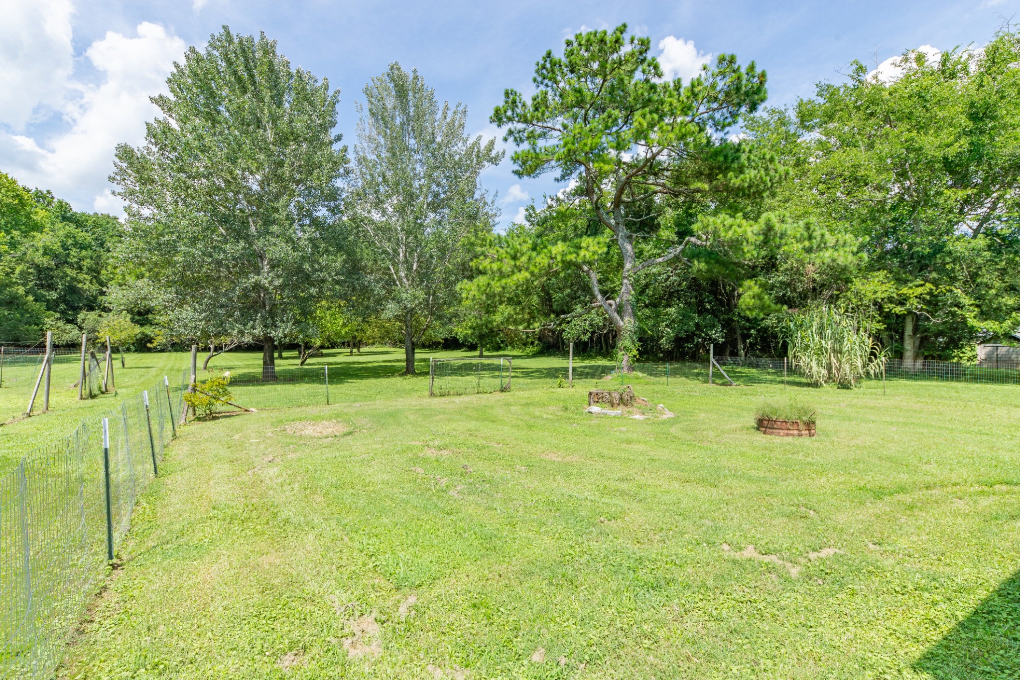 330 Holly Grove Road Lewisburg, TN 37091 - Photo 48 of 84