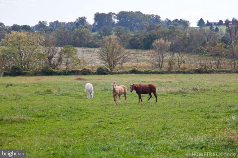 5315 Hydes Road Hydes, MD 21082 - Photo 3 of 19 Pasture