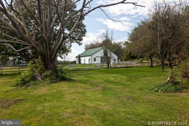 5315 Hydes Road Hydes, MD 21082 - Photo 5 of 19 Wooded View / Acreage