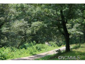83 Quellette Road Mills River, NC 28759 - Photo 4 of 22 Gallery Image 4
