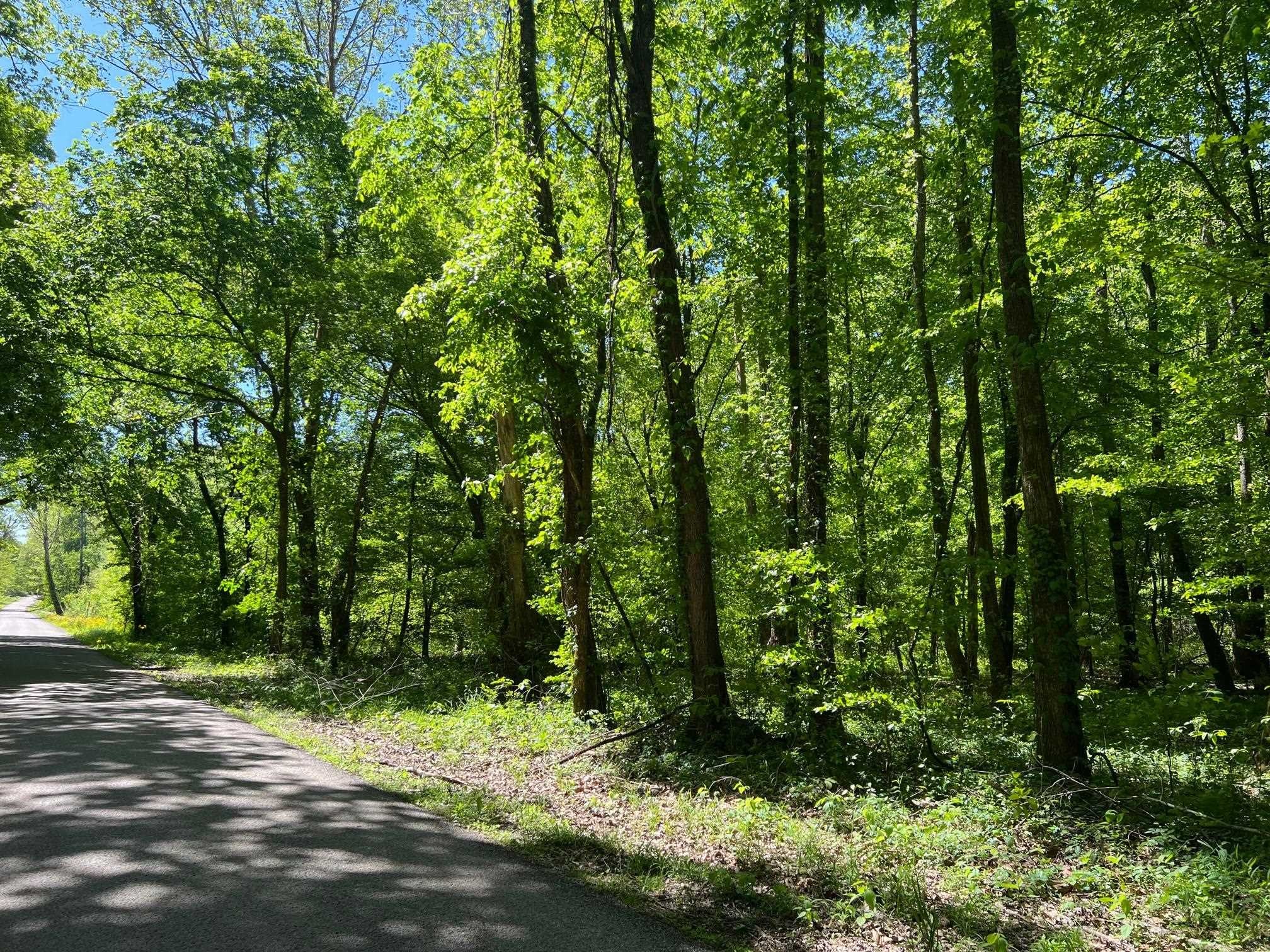 1 Federal Road Counce, TN 38326 - Photo 1 of 25 Gallery Image 1