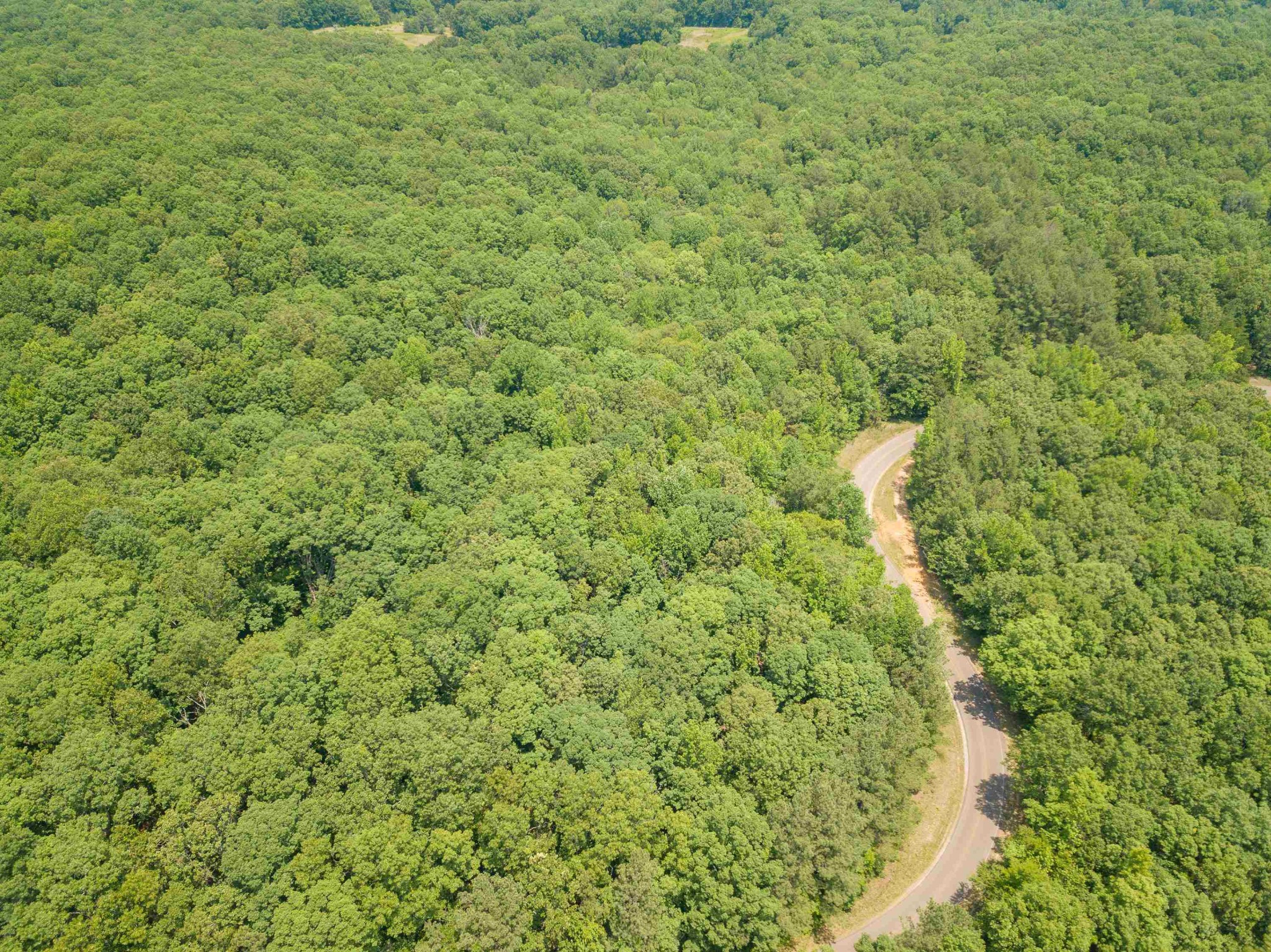 1 Federal Road Counce, TN 38326 - Photo 12 of 25 Gallery Image 12