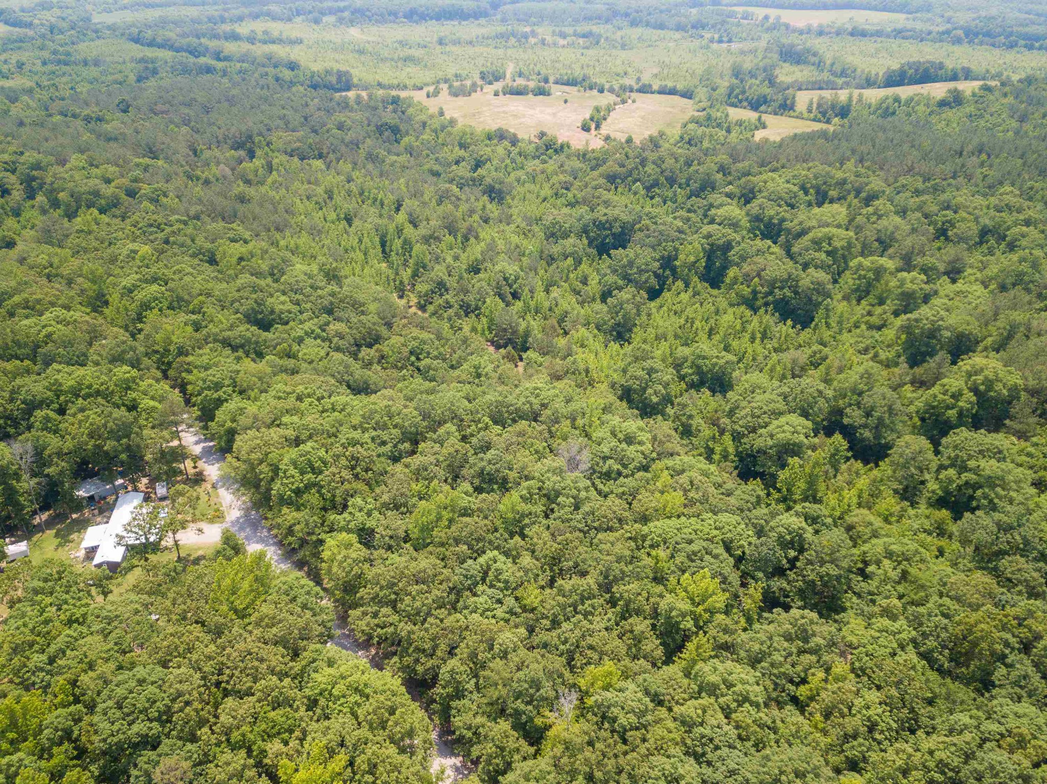 1 Federal Road Counce, TN 38326 - Photo 13 of 25 Gallery Image 13