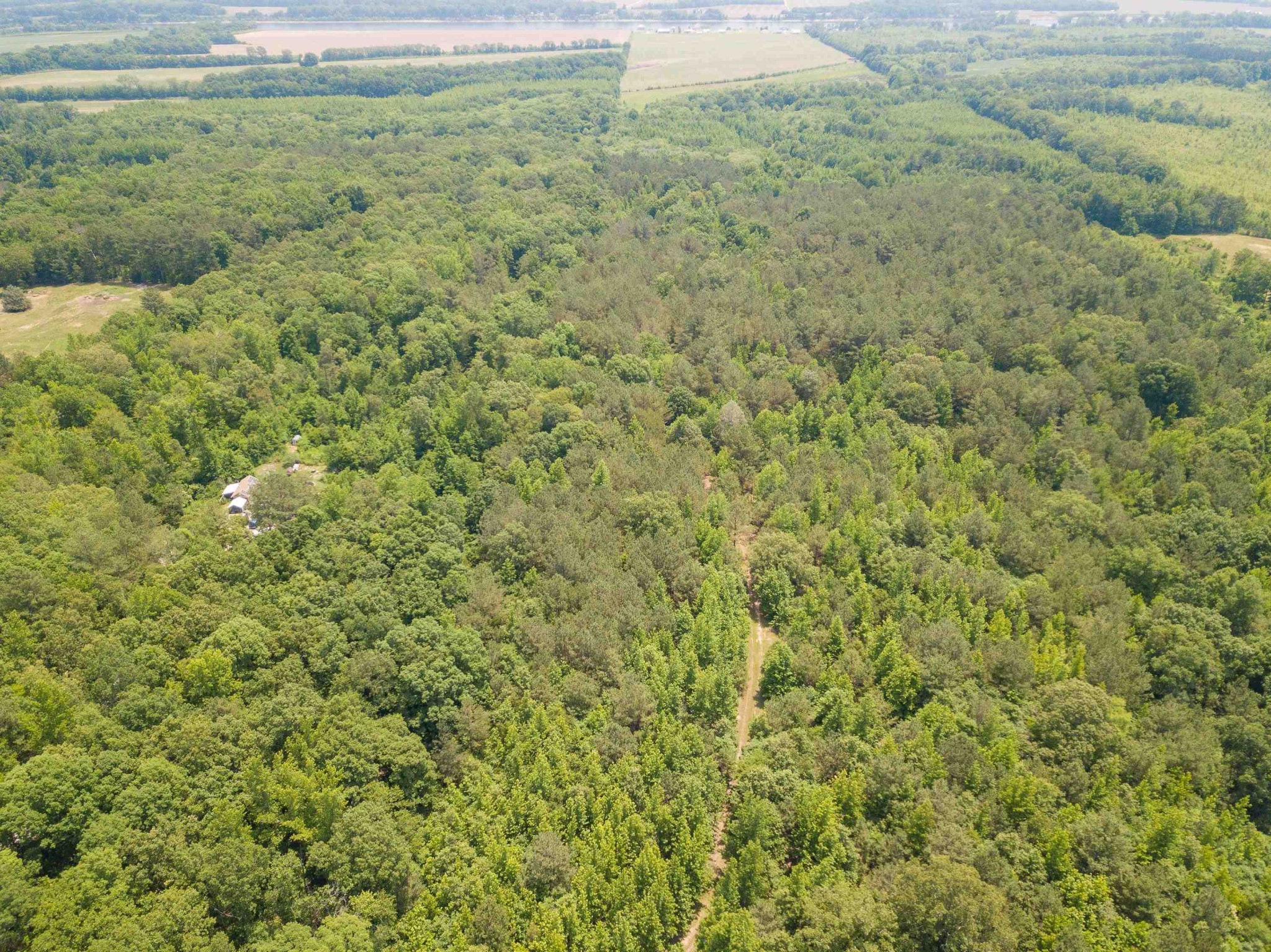 1 Federal Road Counce, TN 38326 - Photo 14 of 25 Gallery Image 14