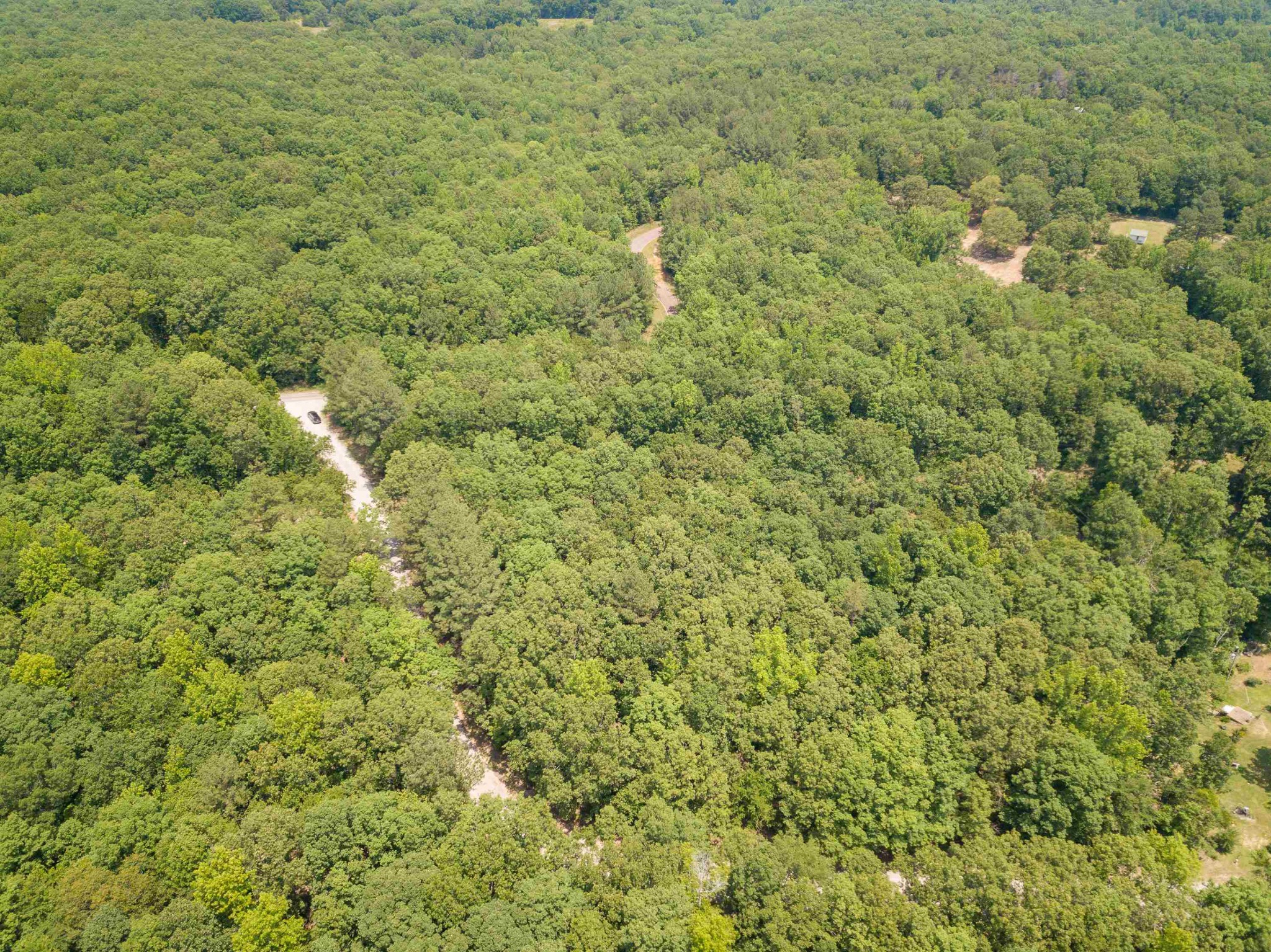1 Federal Road Counce, TN 38326 - Photo 15 of 25 Gallery Image 15