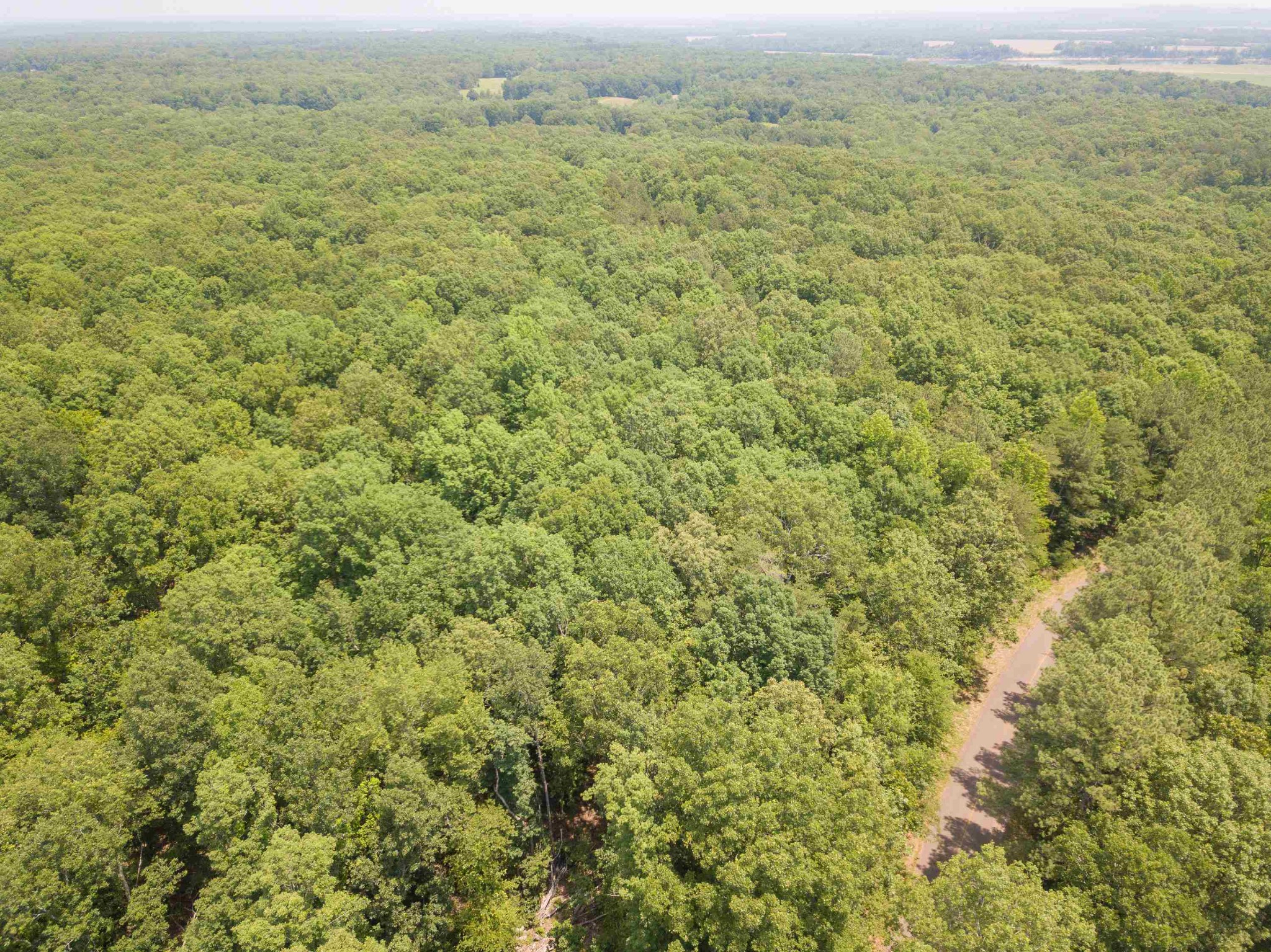 1 Federal Road Counce, TN 38326 - Photo 2 of 25 Gallery Image 2