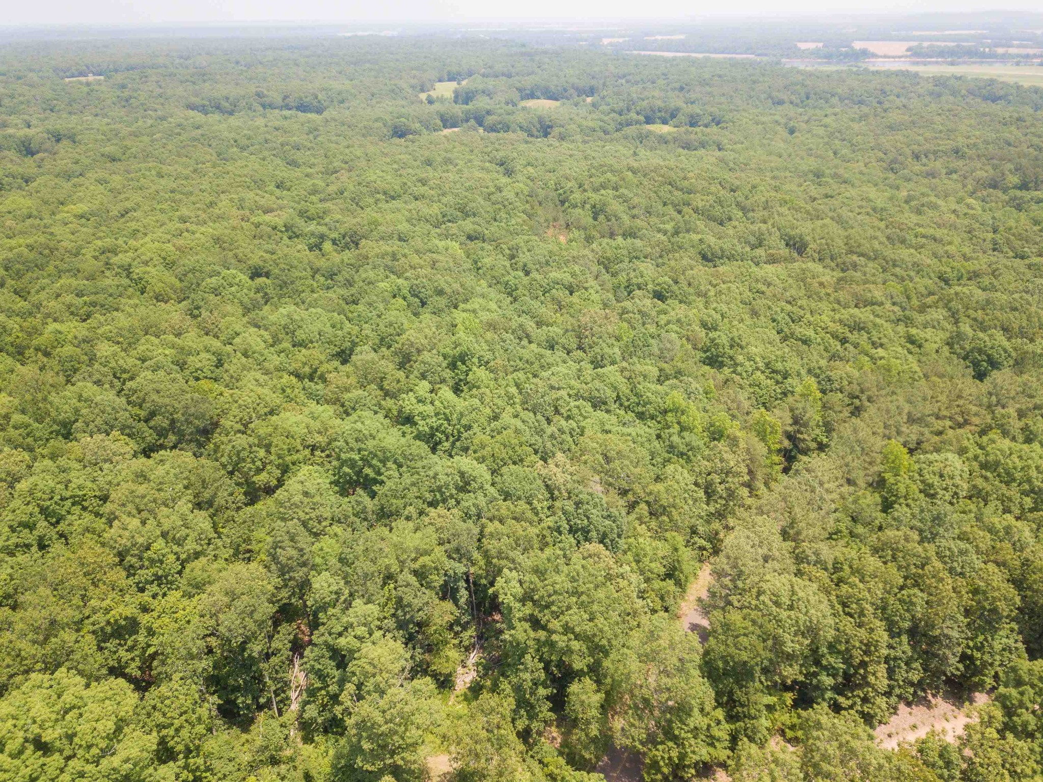 1 Federal Road Counce, TN 38326 - Photo 3 of 25 Gallery Image 3