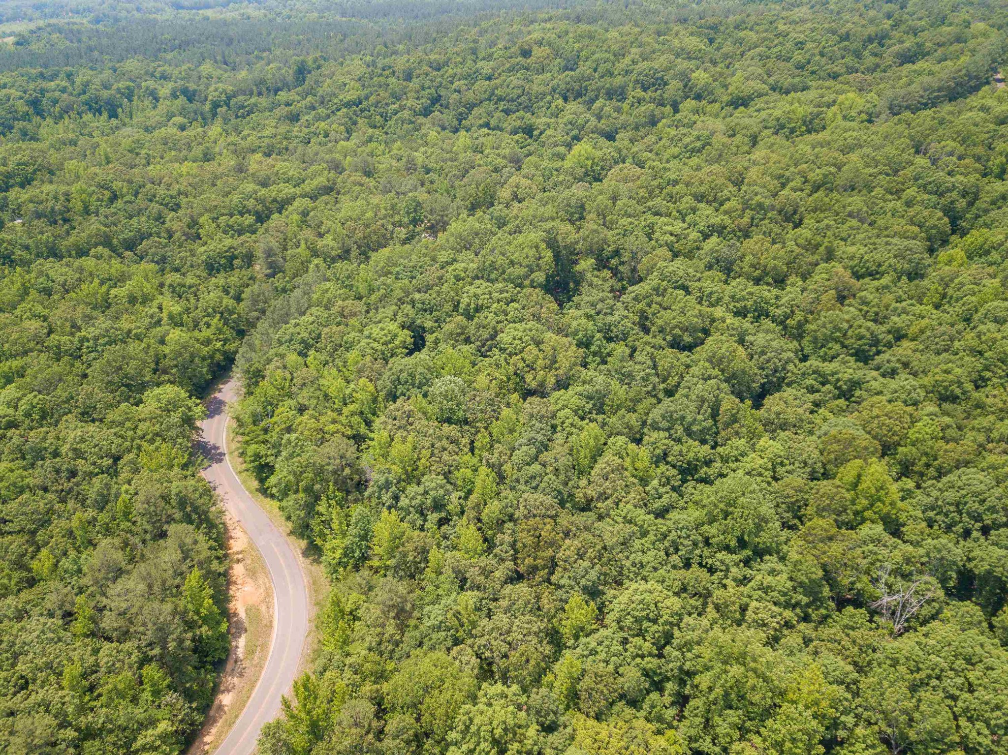 1 Federal Road Counce, TN 38326 - Photo 9 of 25 Gallery Image 9
