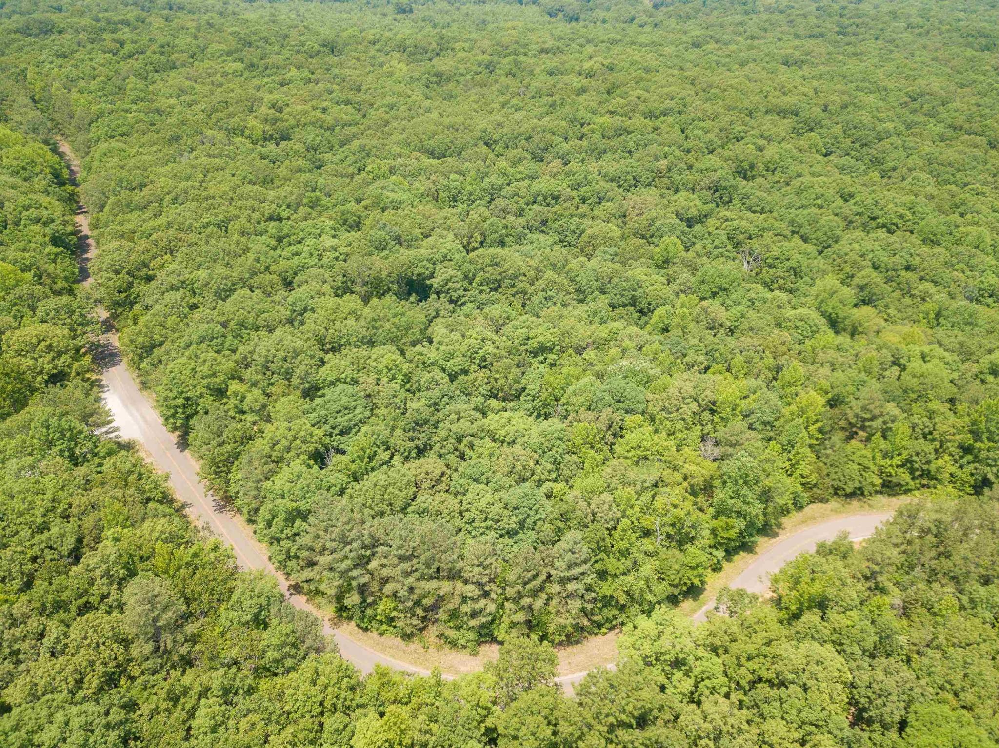 1 Federal Road Counce, TN 38326 - Photo 10 of 25 Gallery Image 10