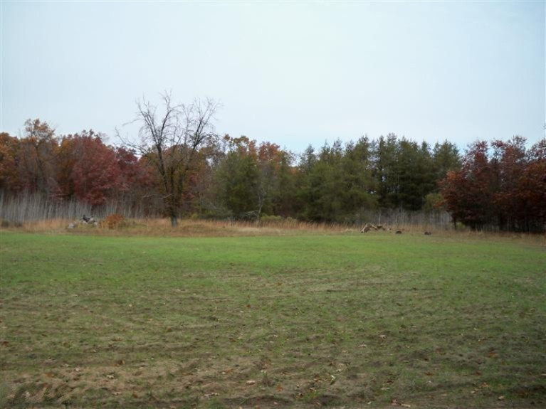 1 North Bass Lake Road Irons, MI 49644 - Photo 3 of 3 Additional Photo