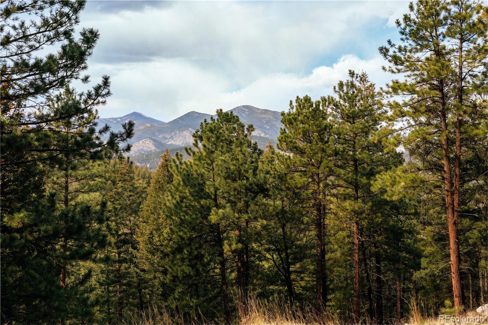 26885 Mountain Park Road Evergreen, CO 80439 - Photo 3 of 36