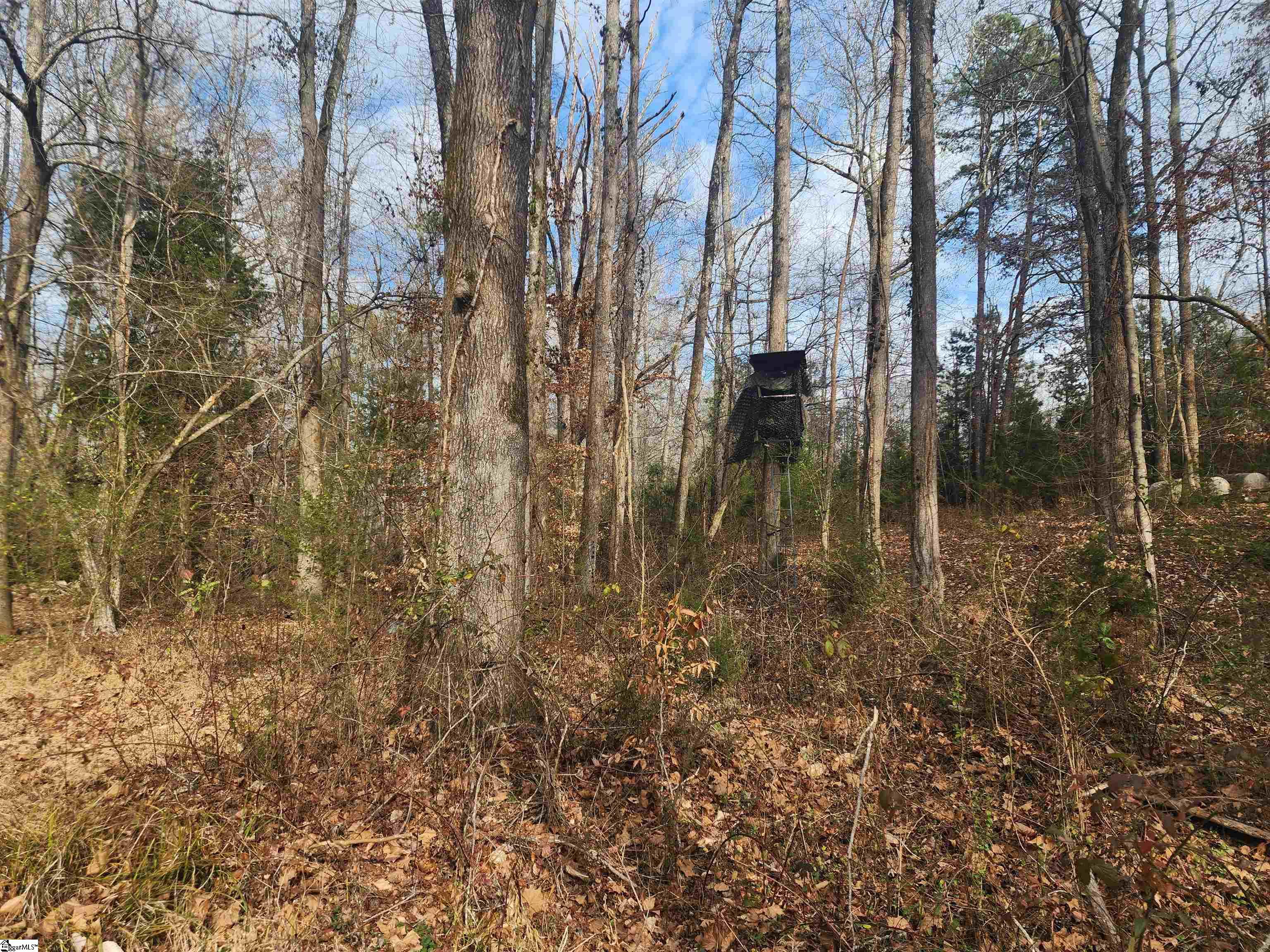 3068 State Rd S-30-40 Gray Court, SC 29645 - Photo 19 of 27