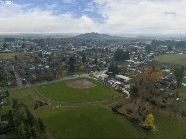 an aerial view of a residential houses with outdoor space and trees