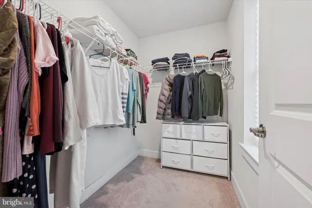 a view of walk in closet with clothes