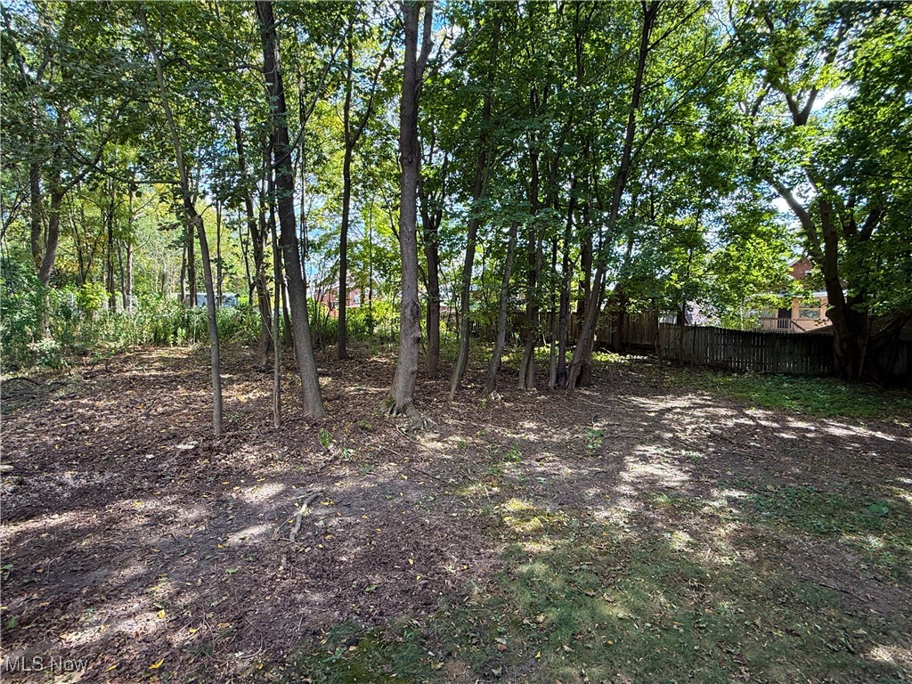 247 Reed Avenue Campbell, OH 44405 - Photo 36 of 41 View of yard