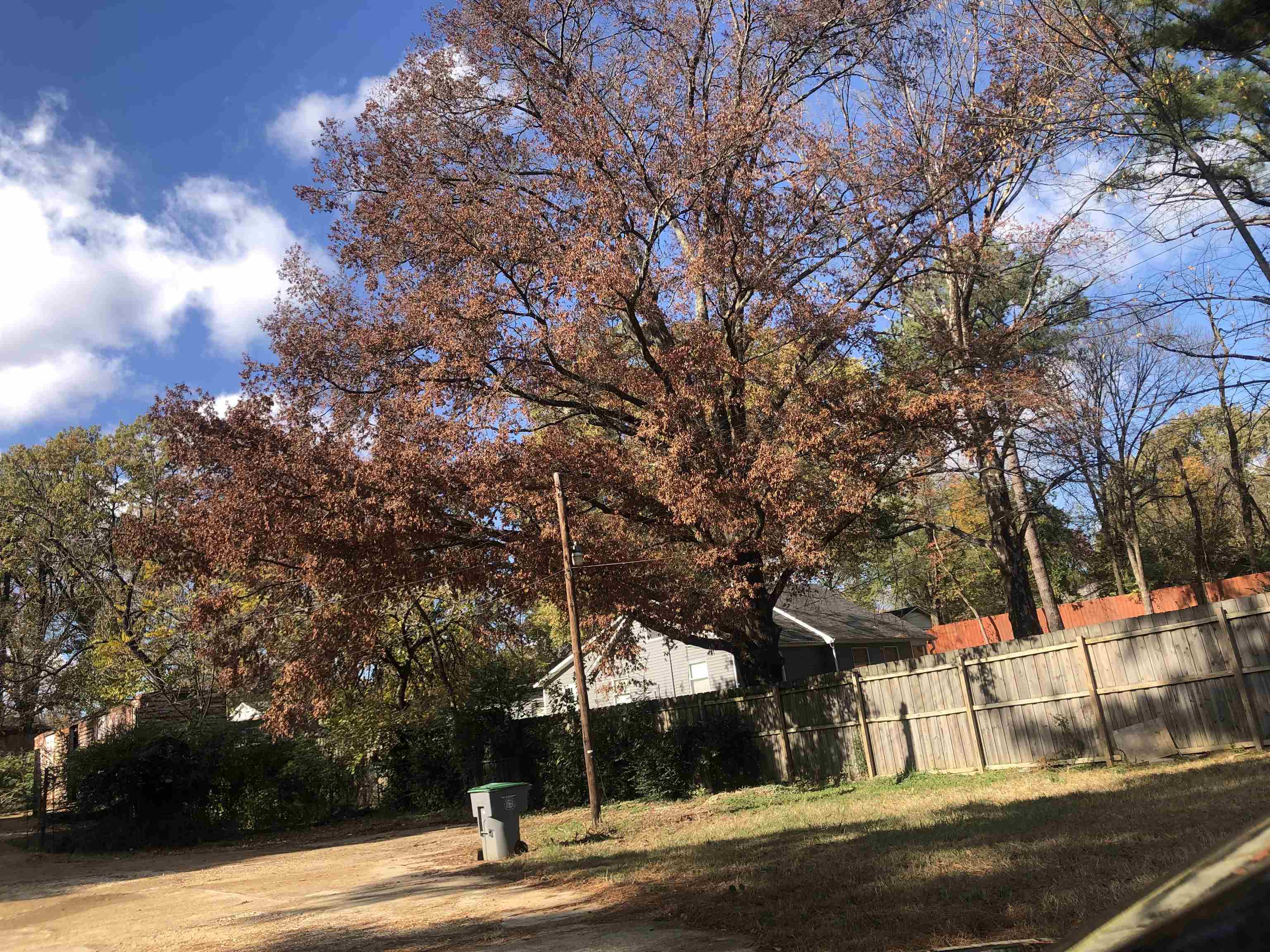 4297 Prescott Road Memphis, TN 38118 - Photo 6 of 14 a view of a city street
