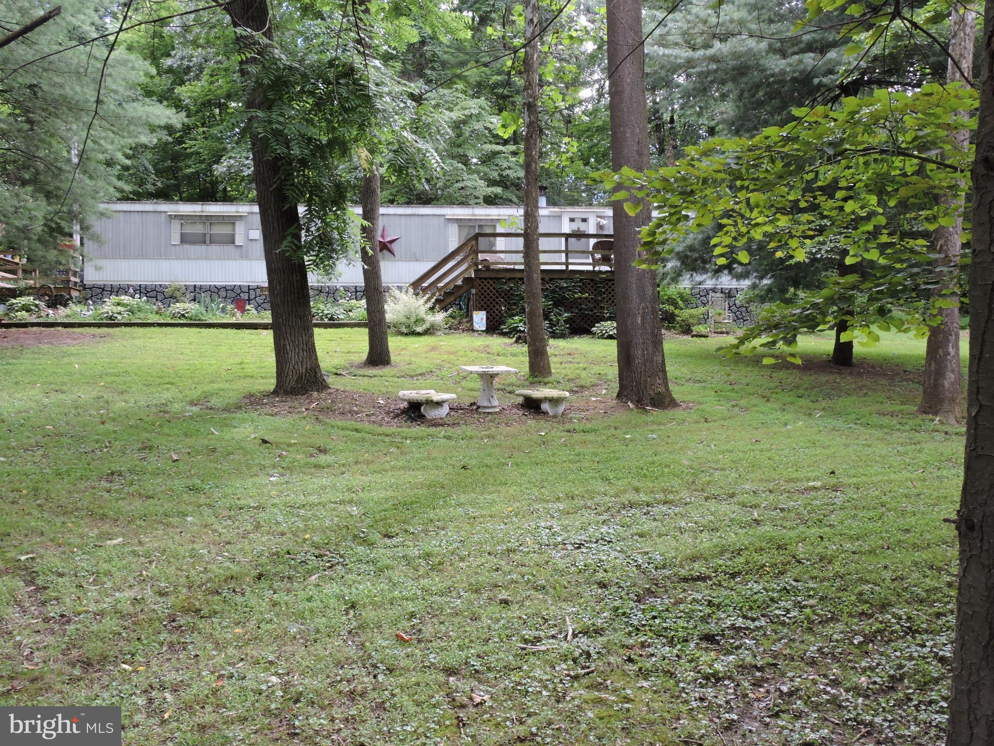 for you (and your horses!)