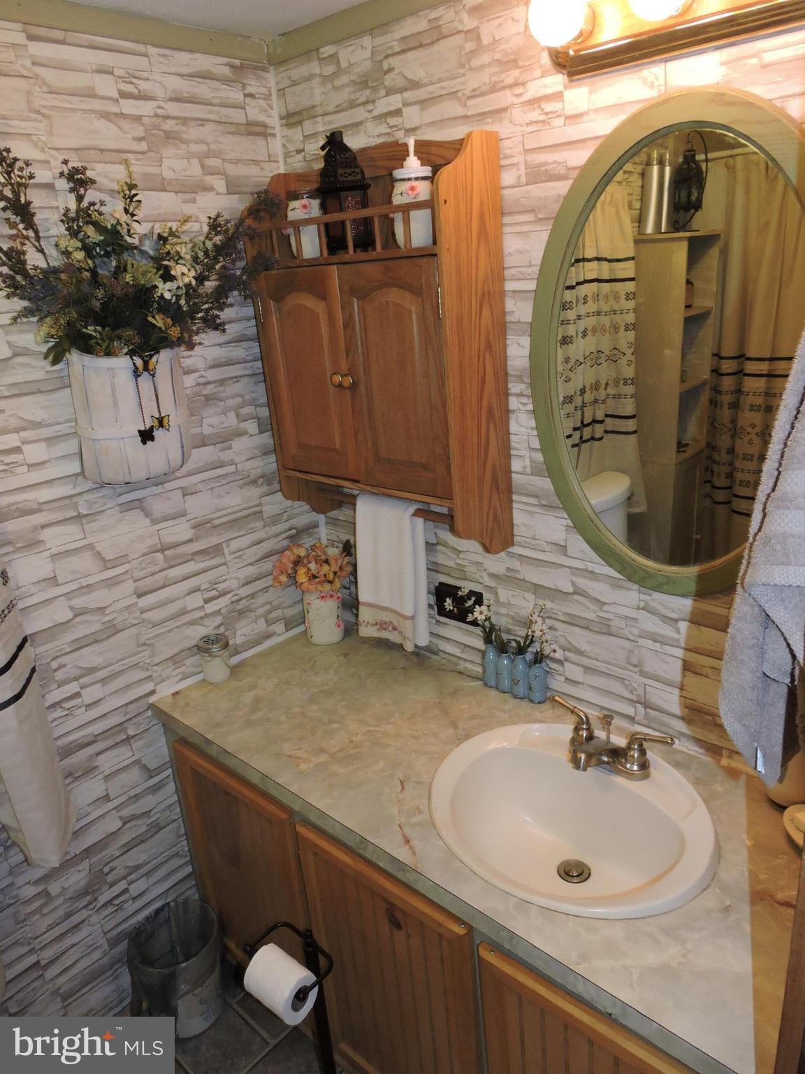 59 Cool Hollow Road Falling Waters, WV 25419 - Photo 12 of 20 And a full bath with fiberglass tub/shower.