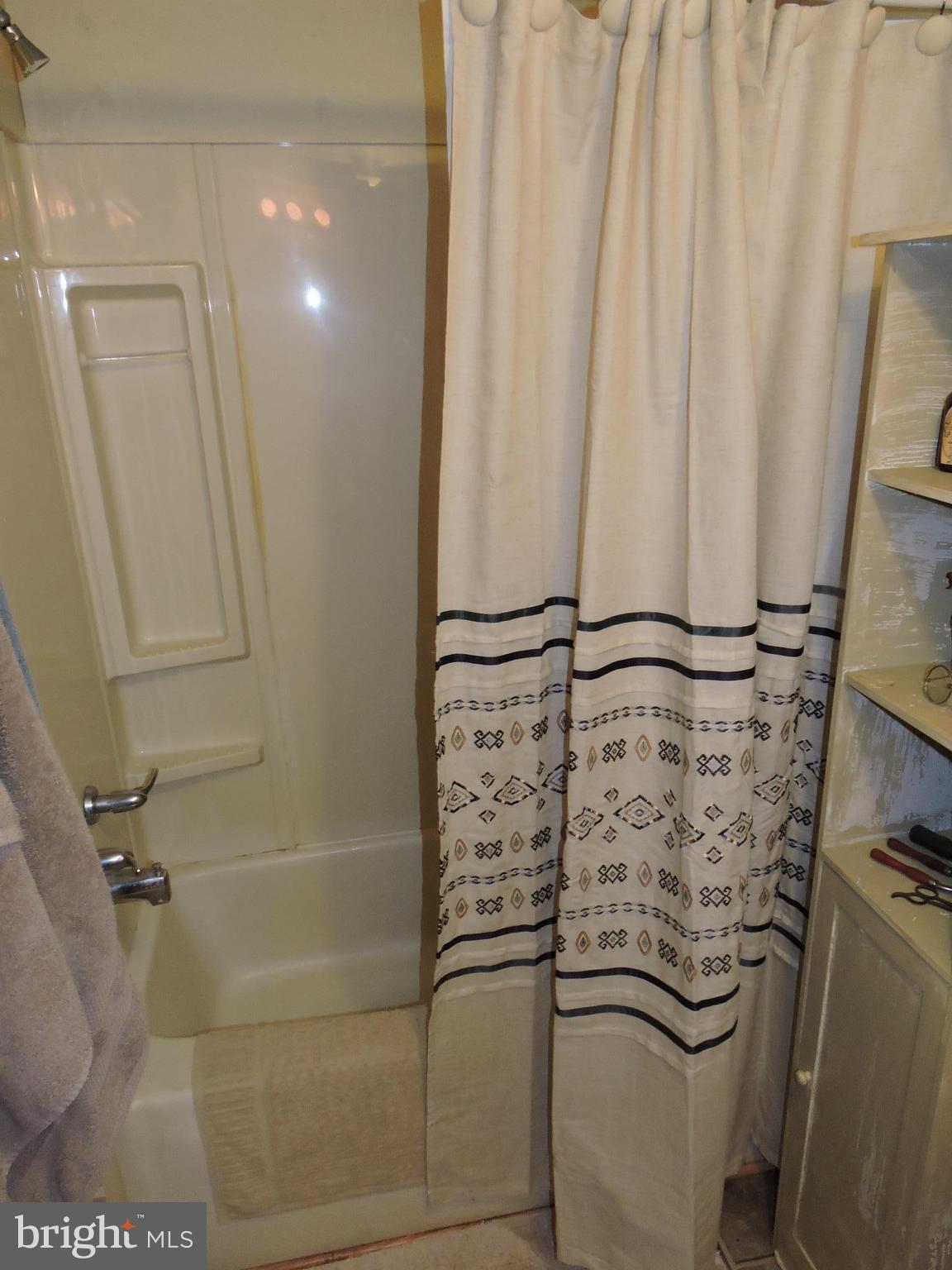 59 Cool Hollow Road Falling Waters, WV 25419 - Photo 13 of 20 View of tub/shower