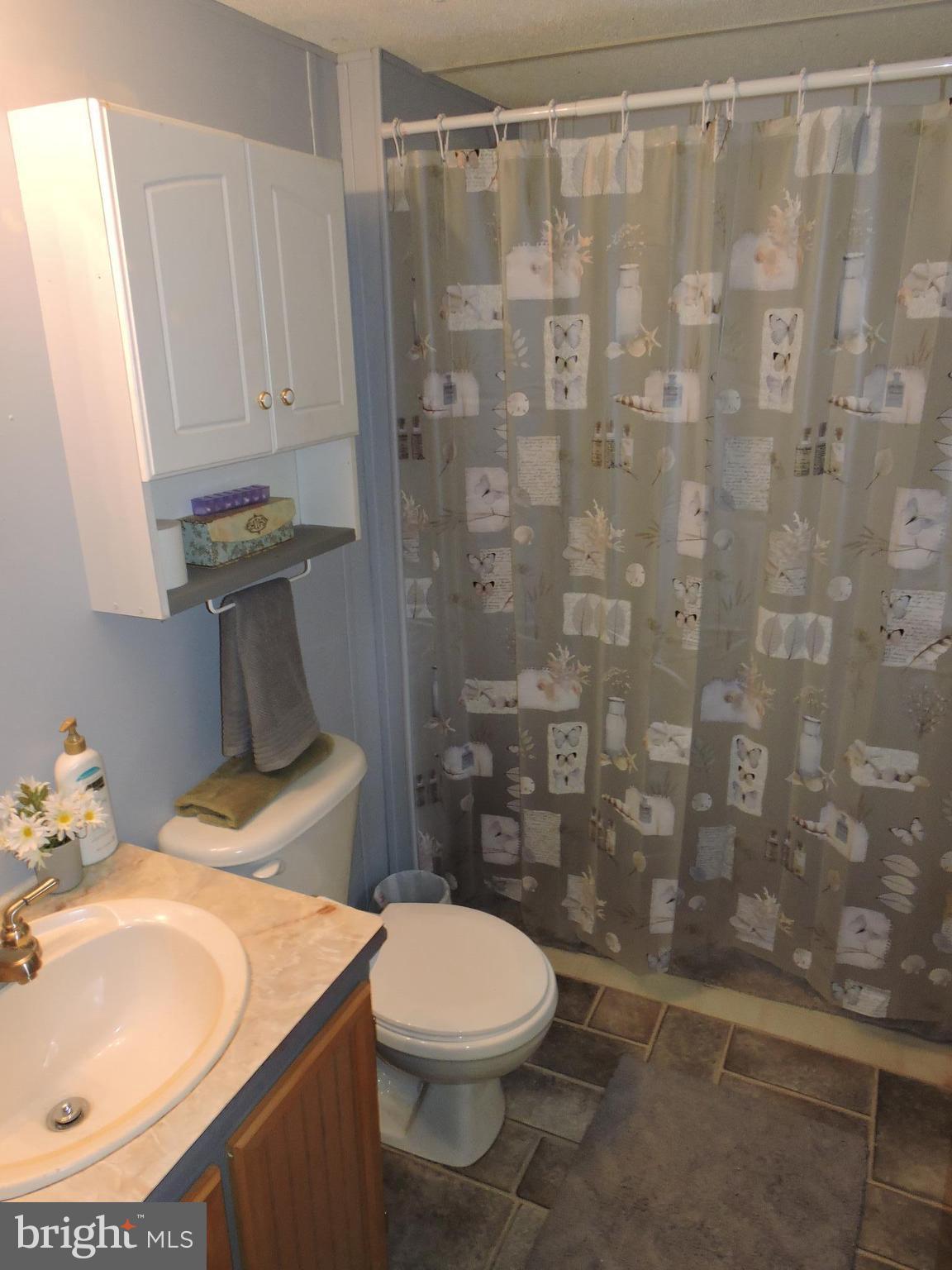 59 Cool Hollow Road Falling Waters, WV 25419 - Photo 16 of 20 Full tub/shower too!