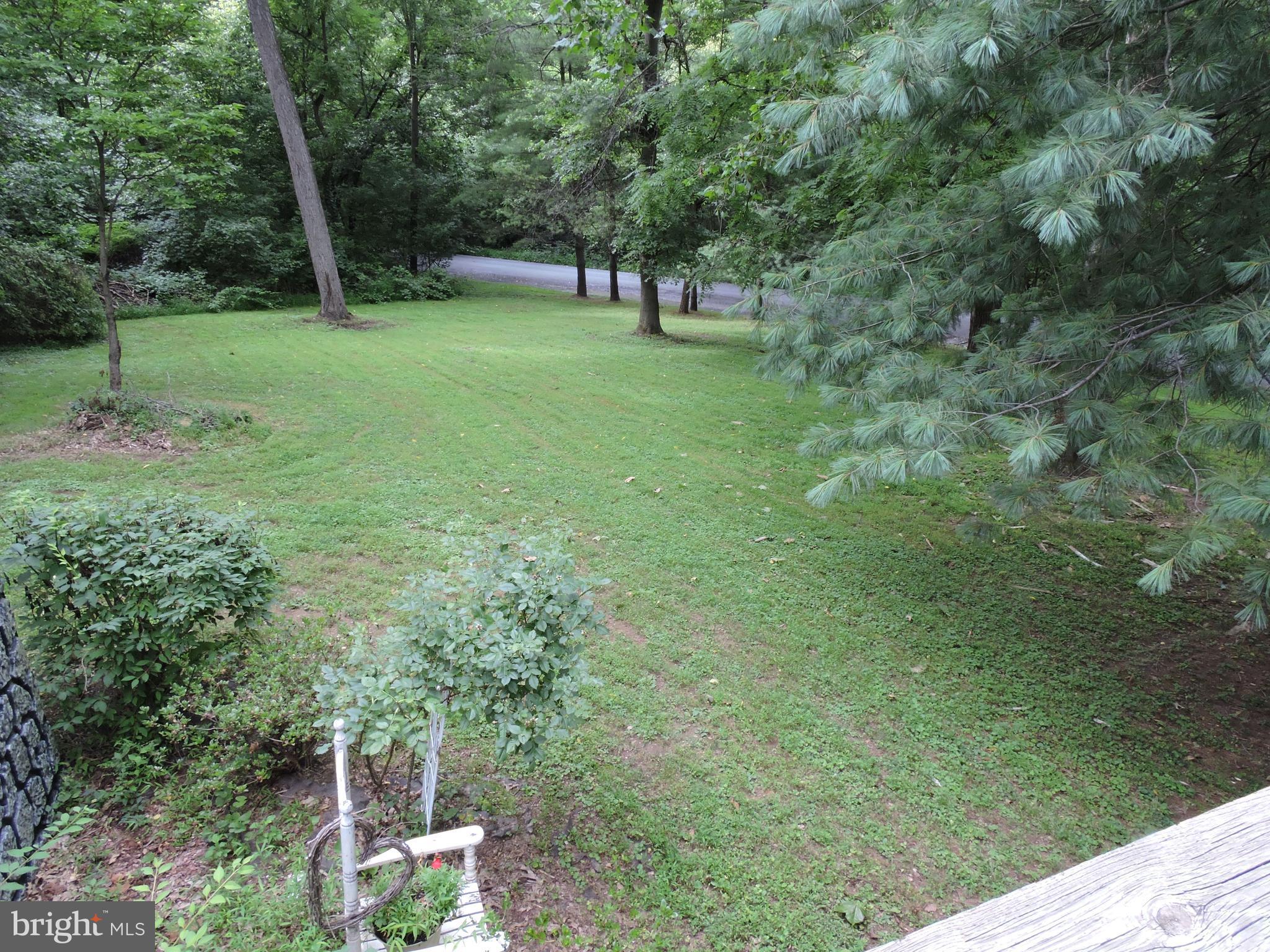 59 Cool Hollow Road Falling Waters, WV 25419 - Photo 18 of 20 Shady yard, front and rear, and room for your pets