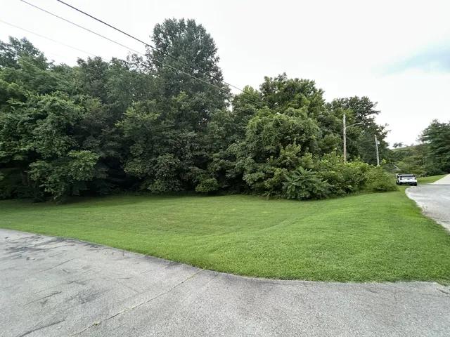 a view of a field of grass and trees