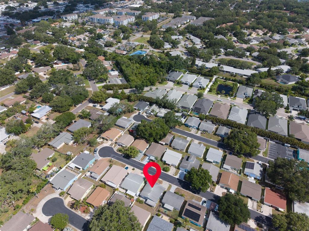 1009 Crane Court Dunedin, FL 34698 - Photo 55 of 63