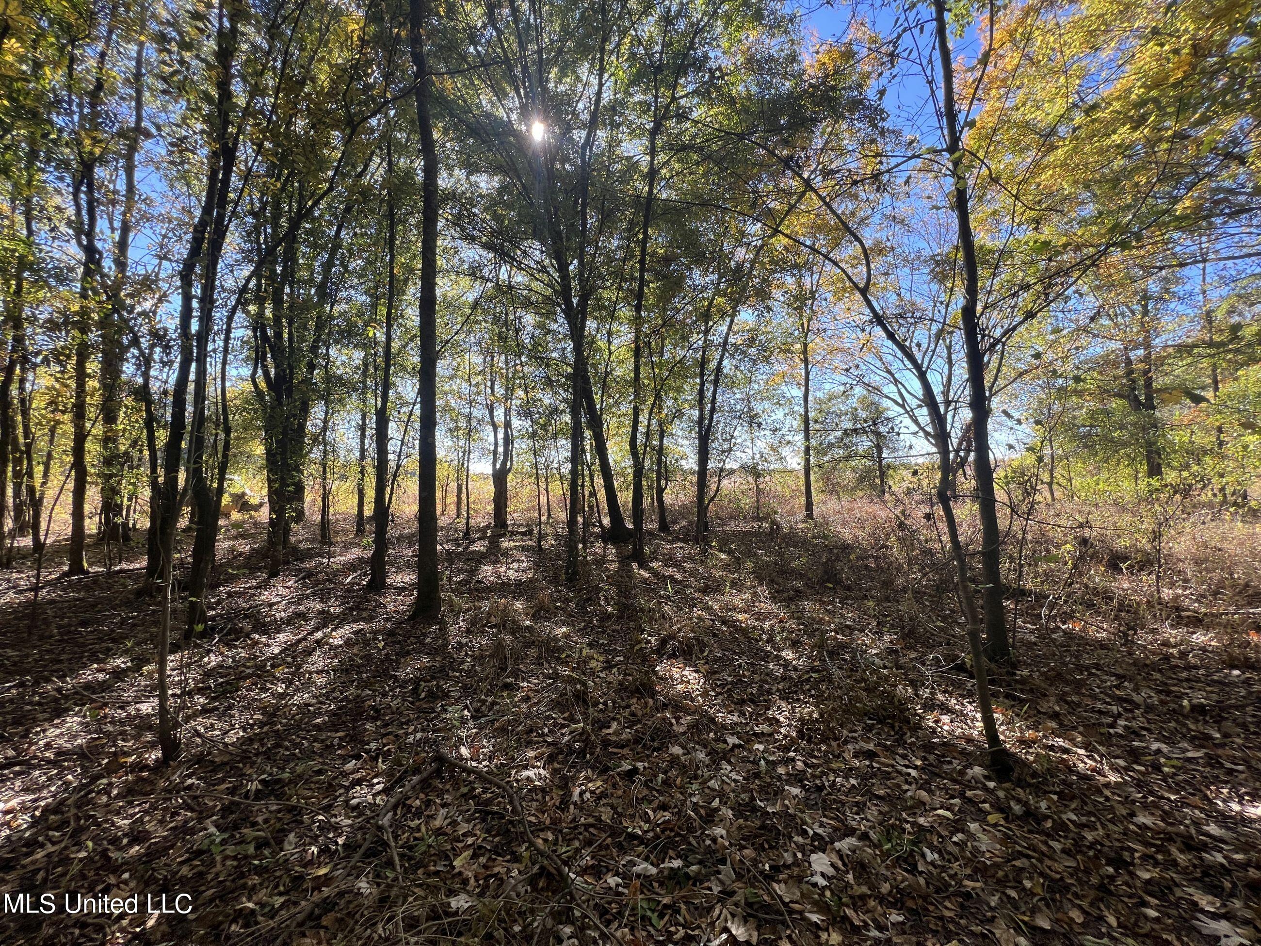 5177 A Nash Road Batesville, MS 38606 - Photo 50 of 83 3irvi142