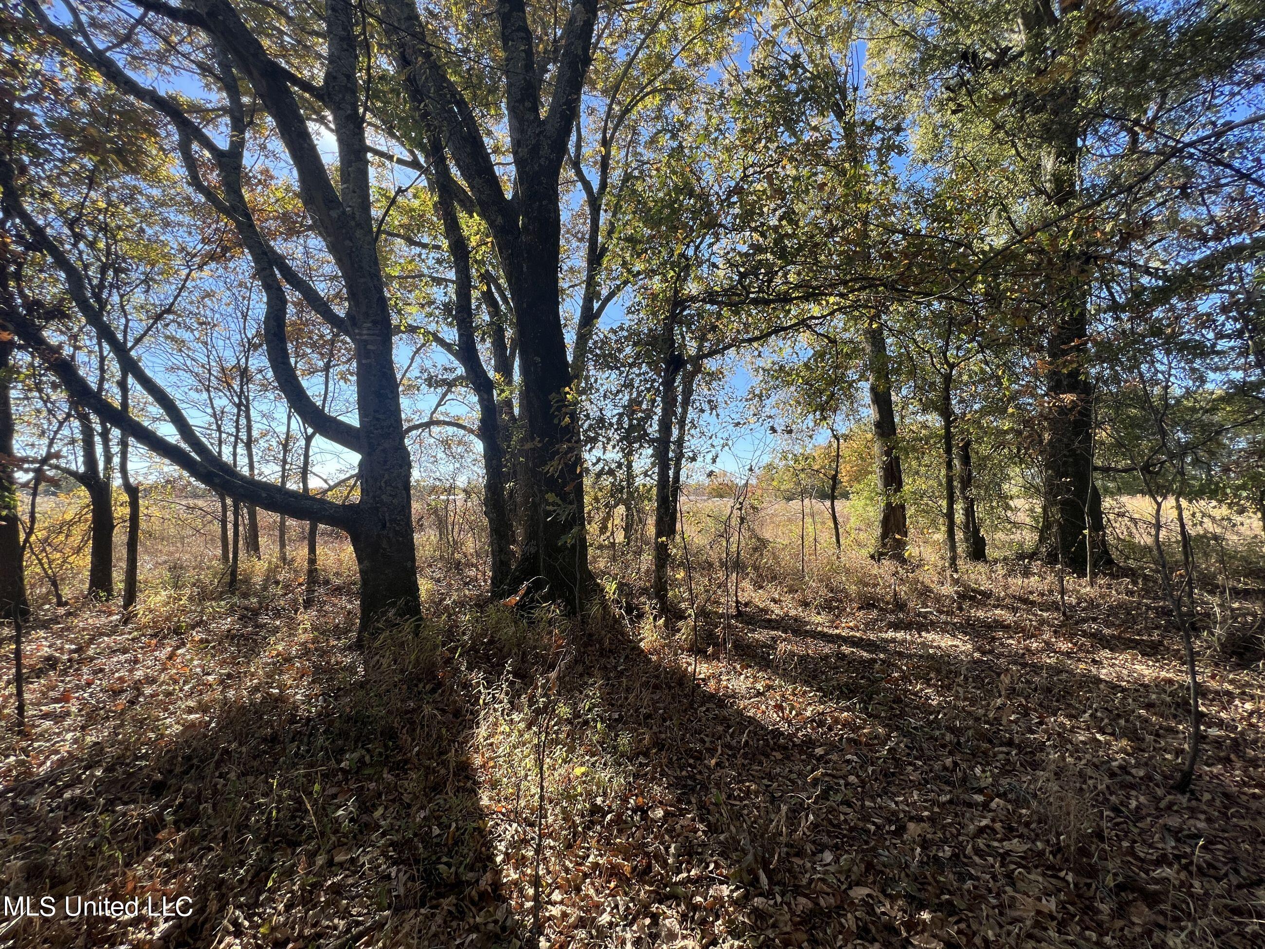 5177 A Nash Road Batesville, MS 38606 - Photo 53 of 83 3irvi147