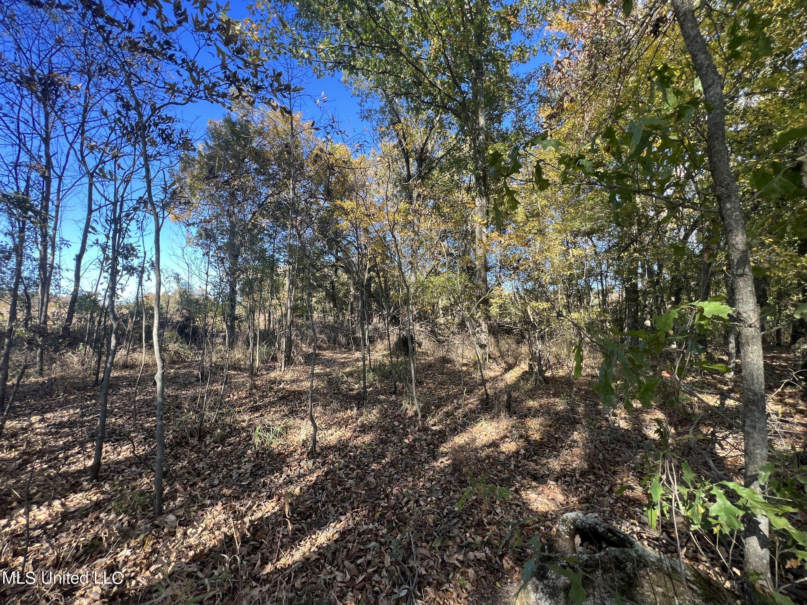 5177 A Nash Road Batesville, MS 38606 - Photo 54 of 83 3irvi148