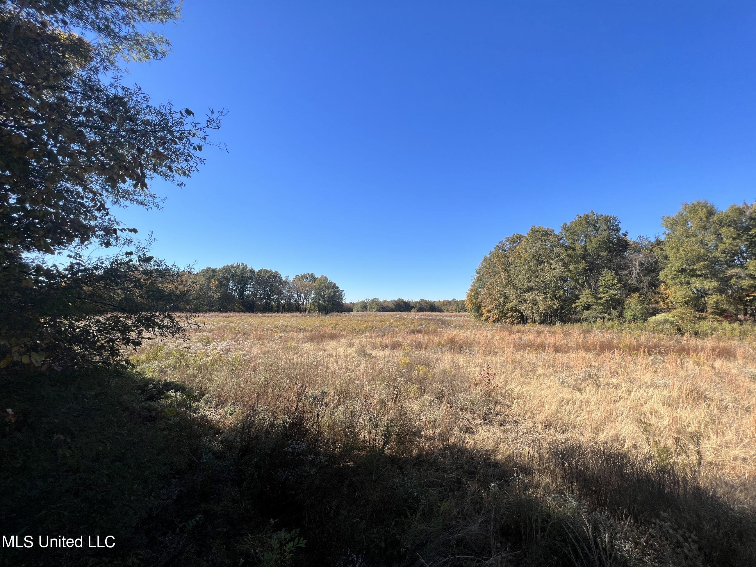 5177 A Nash Road Batesville, MS 38606 - Photo 59 of 83 3irvi162