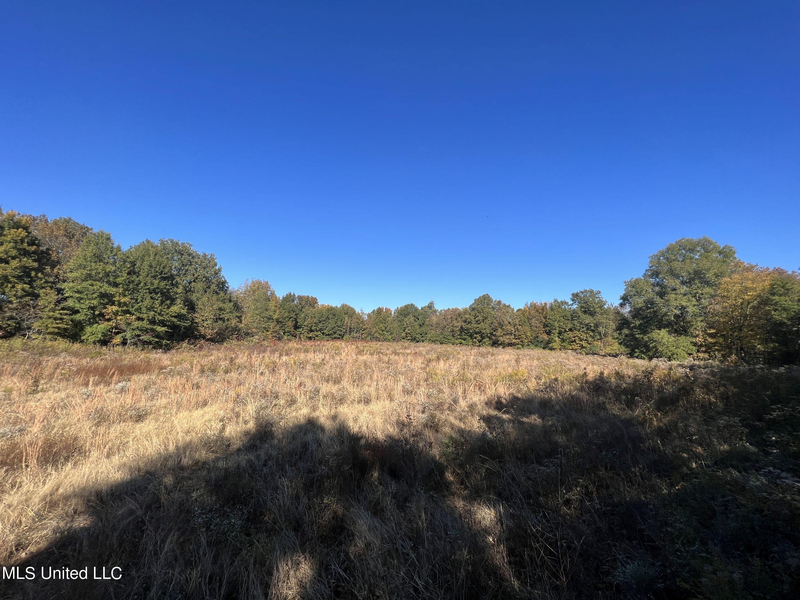 5177 A Nash Road Batesville, MS 38606 - Photo 60 of 83 3irvi163