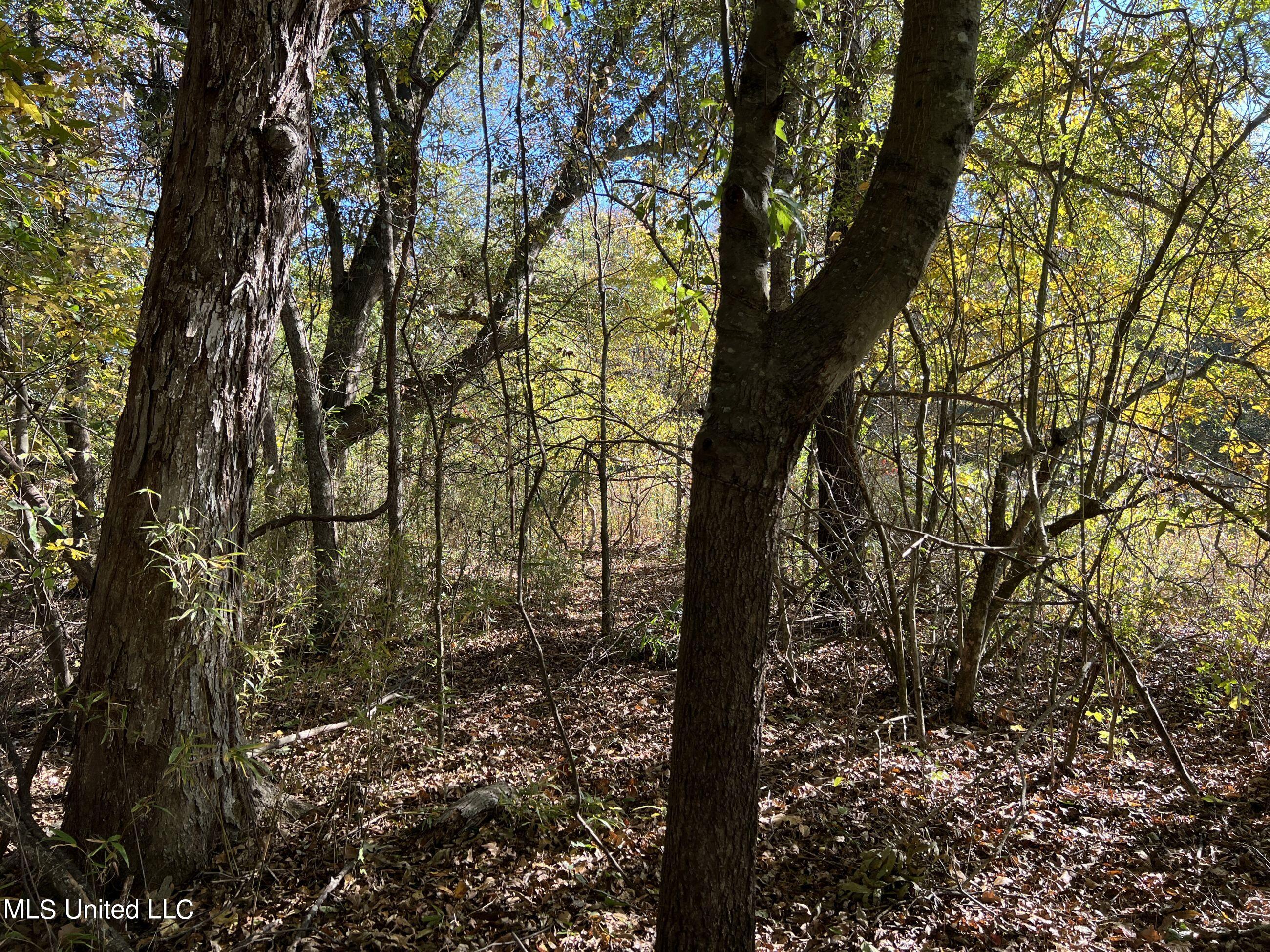 5177 A Nash Road Batesville, MS 38606 - Photo 71 of 83 3irvi188