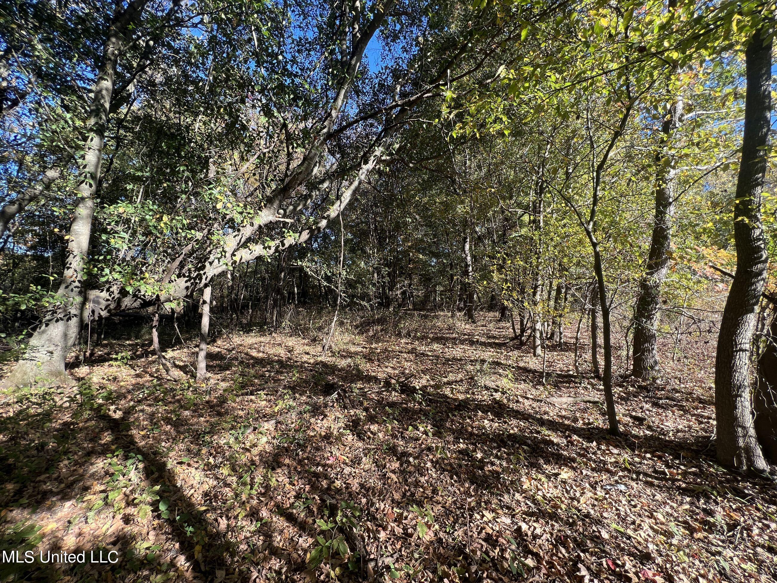 5177 A Nash Road Batesville, MS 38606 - Photo 73 of 83 3irvi190