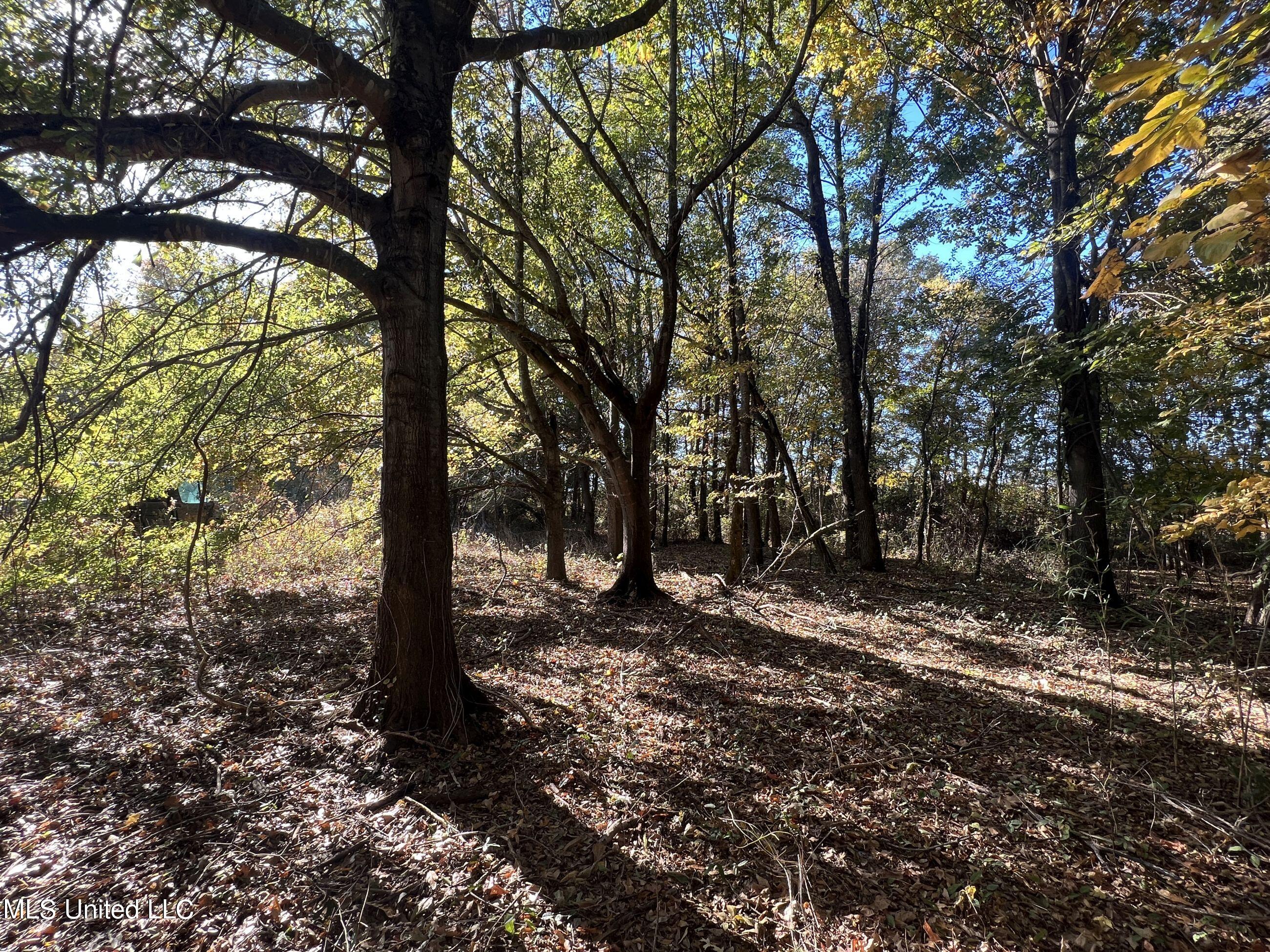 5177 A Nash Road Batesville, MS 38606 - Photo 77 of 83 3irvi198