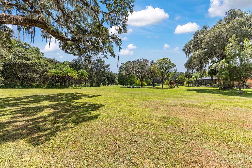 708 Southeast 44th Road Ocala, FL 34480 - Photo 66 of 76 a view of a water fountain and trees in the background