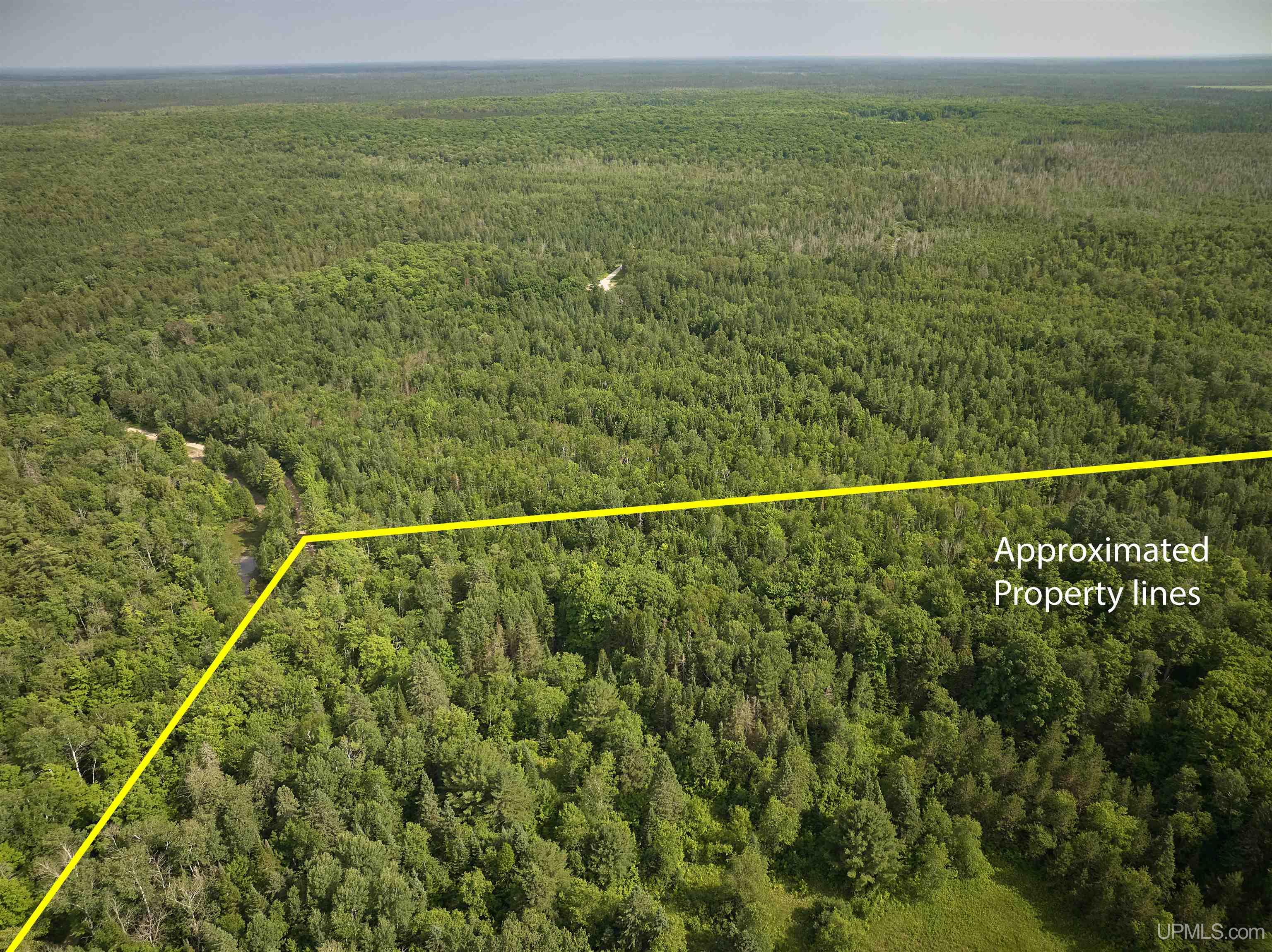 Tbd Star Siding Road Shingleton, MI 49884 - Photo 10 of 26