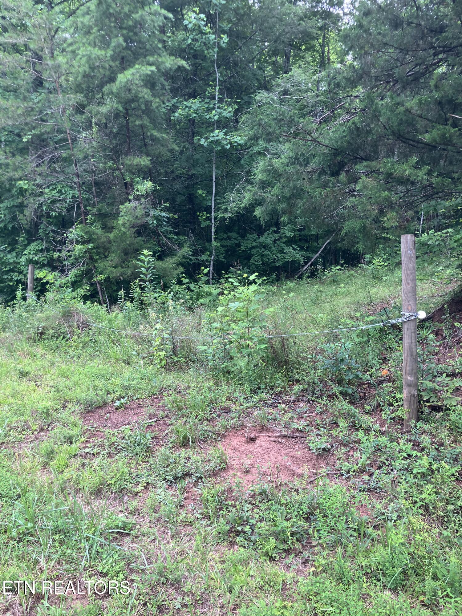 4 3 Point Road Vonore, TN 37885 - Photo 6 of 12 Tract 4-3 Point Rd-5