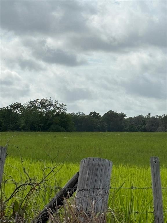 18139 Benes Roush Road Brooksville, FL 34604 - Photo 9 of 9