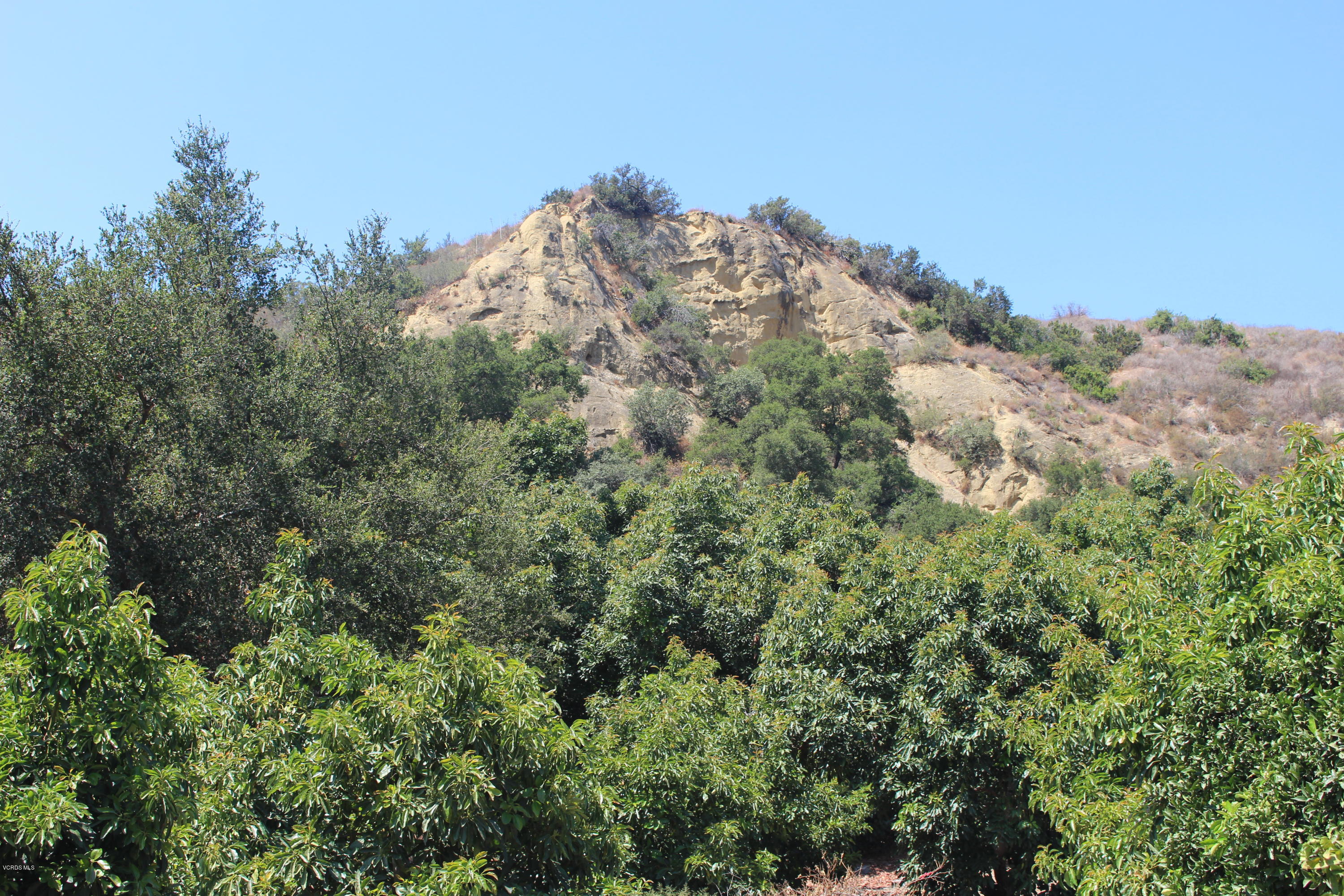 1971 Grimes Canyon Road Fillmore, CA 93015 - Photo 11 of 27 IMG_4713