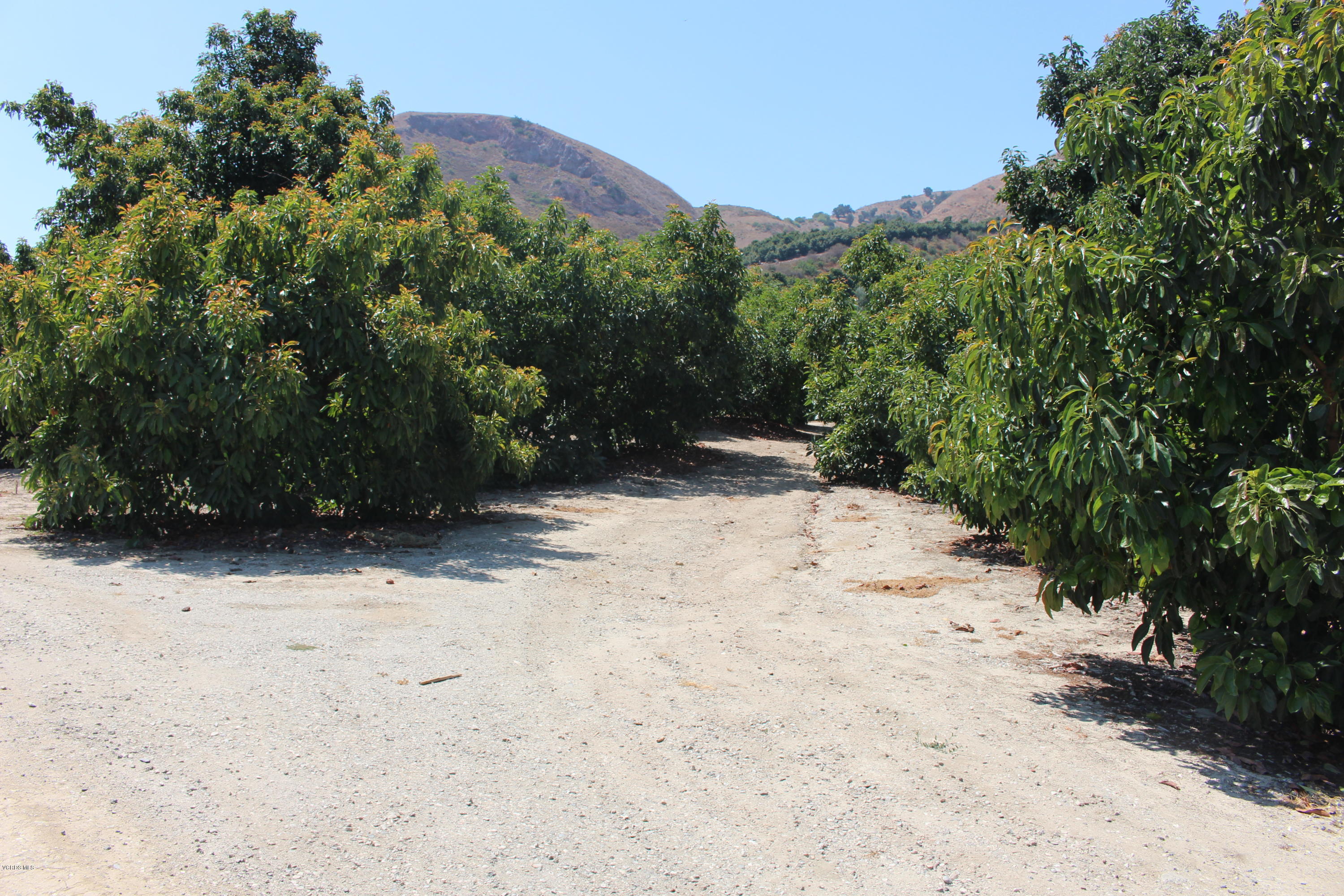 1971 Grimes Canyon Road Fillmore, CA 93015 - Photo 12 of 27 IMG_4724
