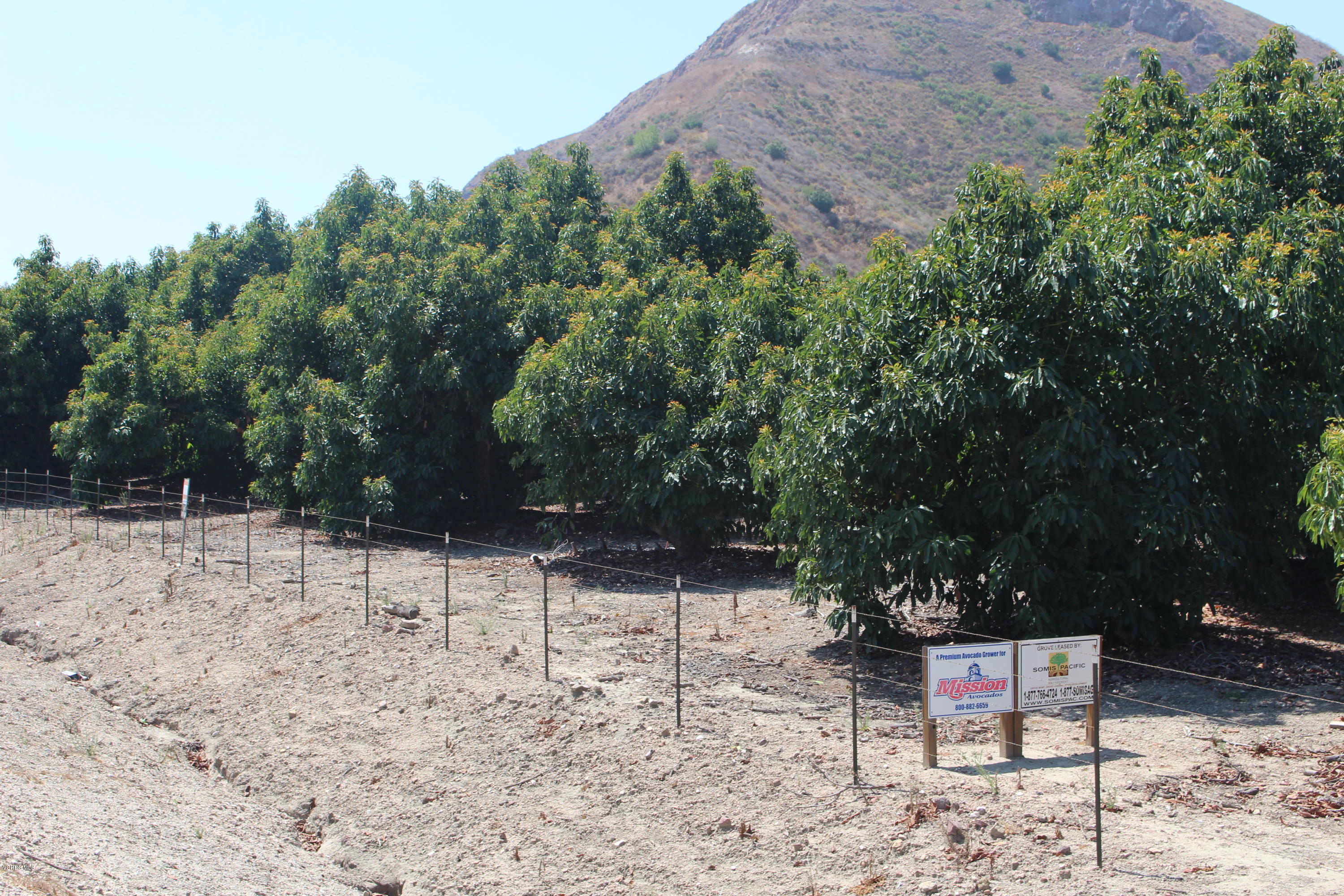 1971 Grimes Canyon Road Fillmore, CA 93015 - Photo 20 of 27 IMG_4727