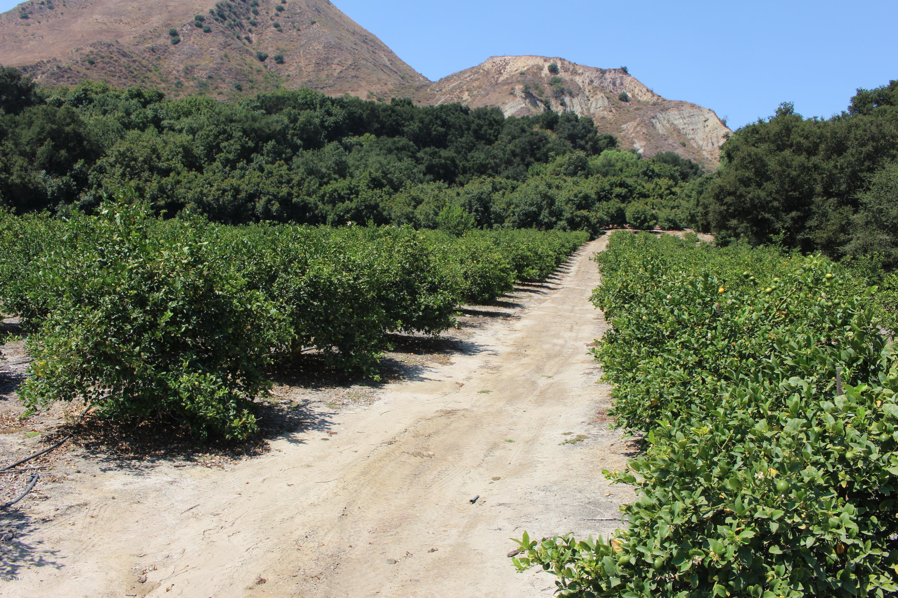 1971 Grimes Canyon Road Fillmore, CA 93015 - Photo 3 of 27 IMG_4716