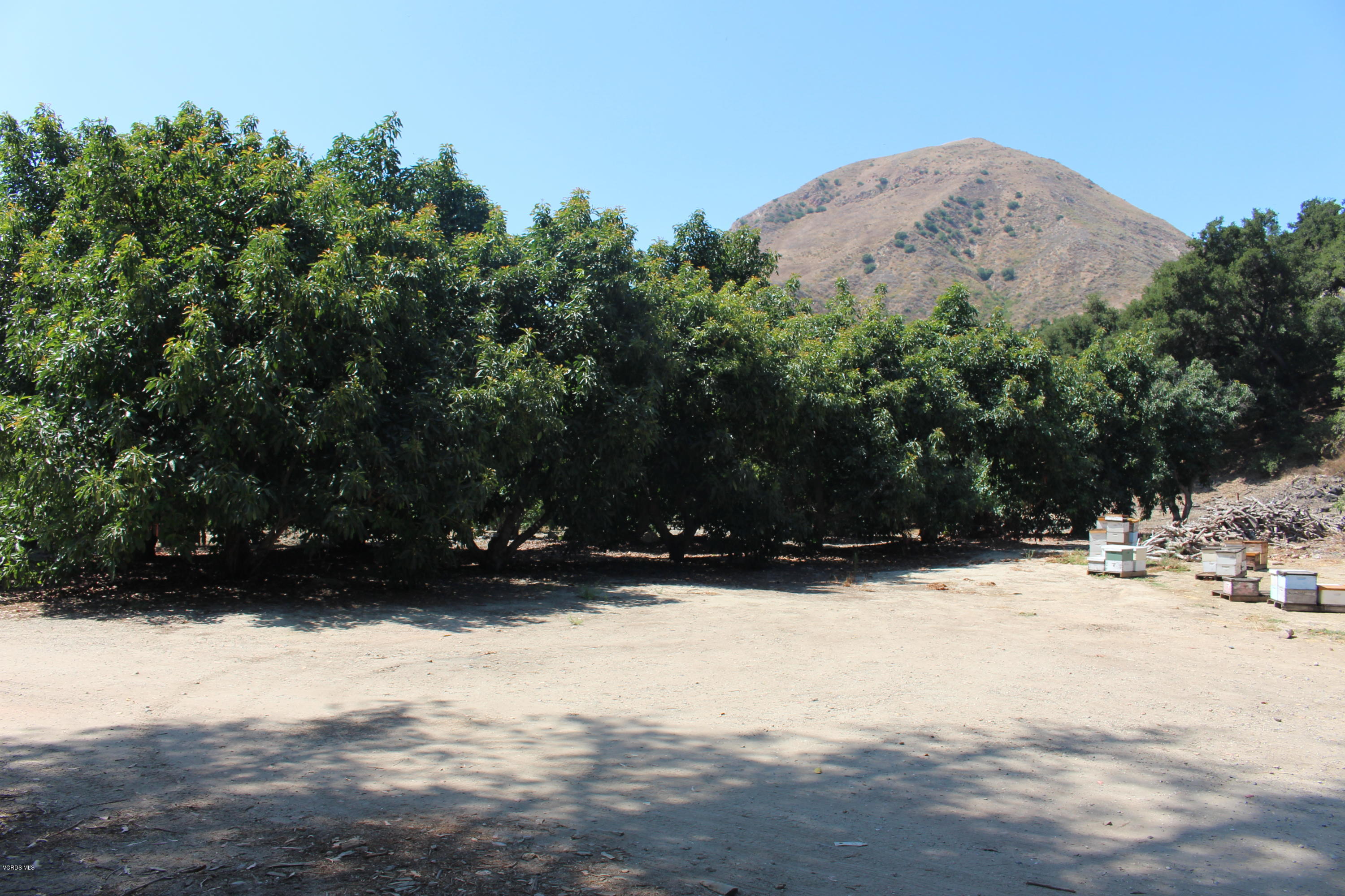 1971 Grimes Canyon Road Fillmore, CA 93015 - Photo 4 of 27 IMG_4704