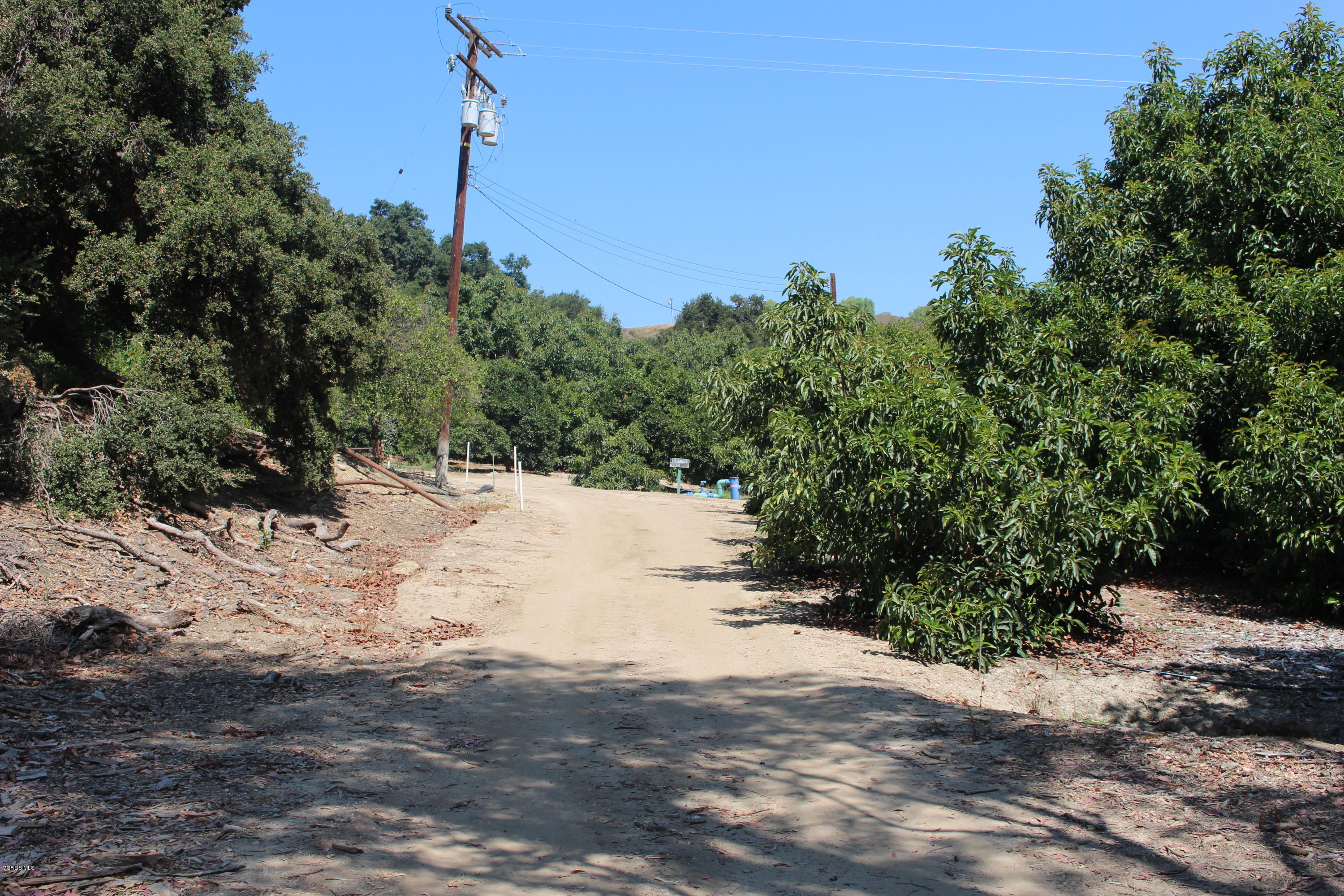 1971 Grimes Canyon Road Fillmore, CA 93015 - Photo 5 of 27 IMG_4705