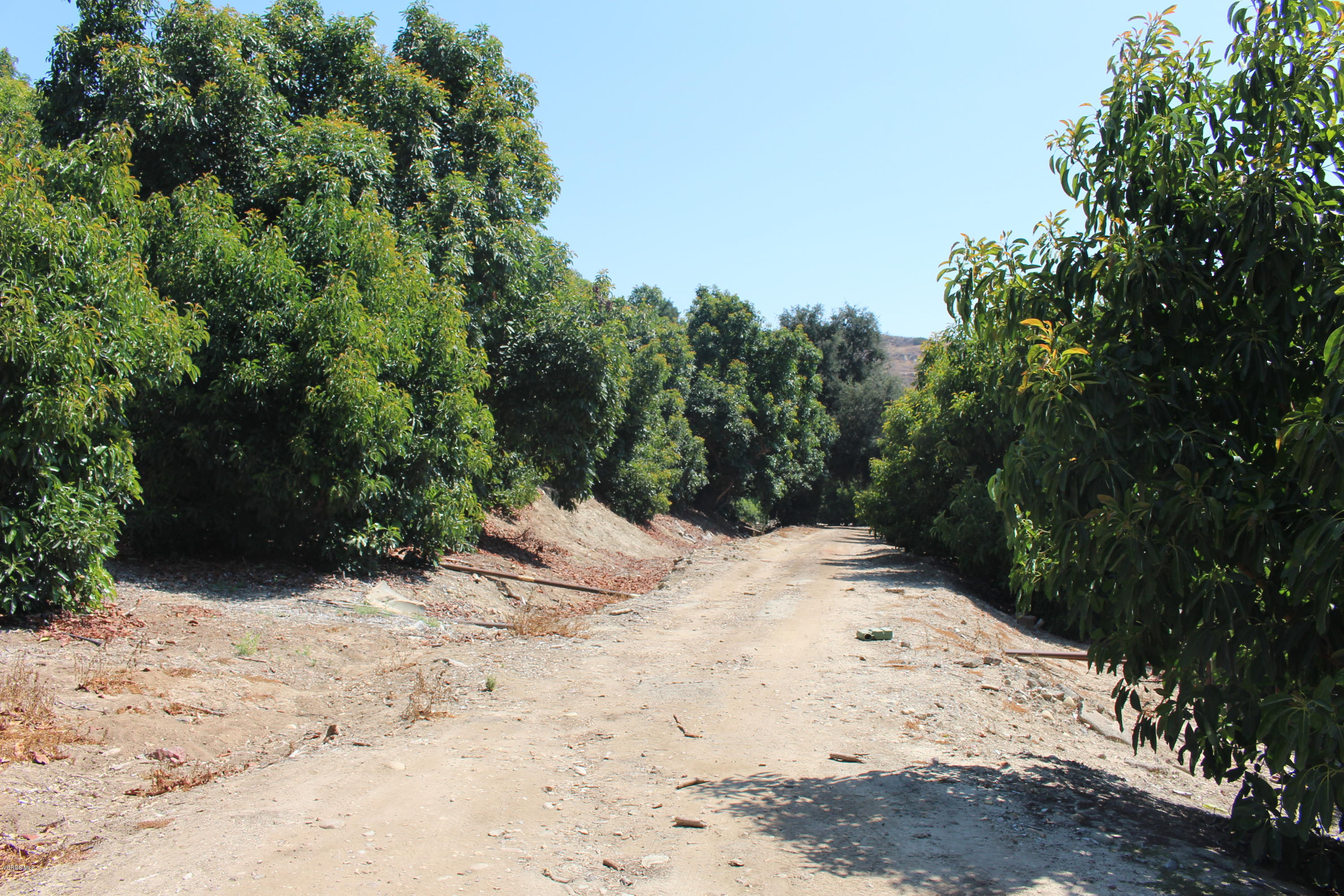1971 Grimes Canyon Road Fillmore, CA 93015 - Photo 9 of 27 IMG_4711