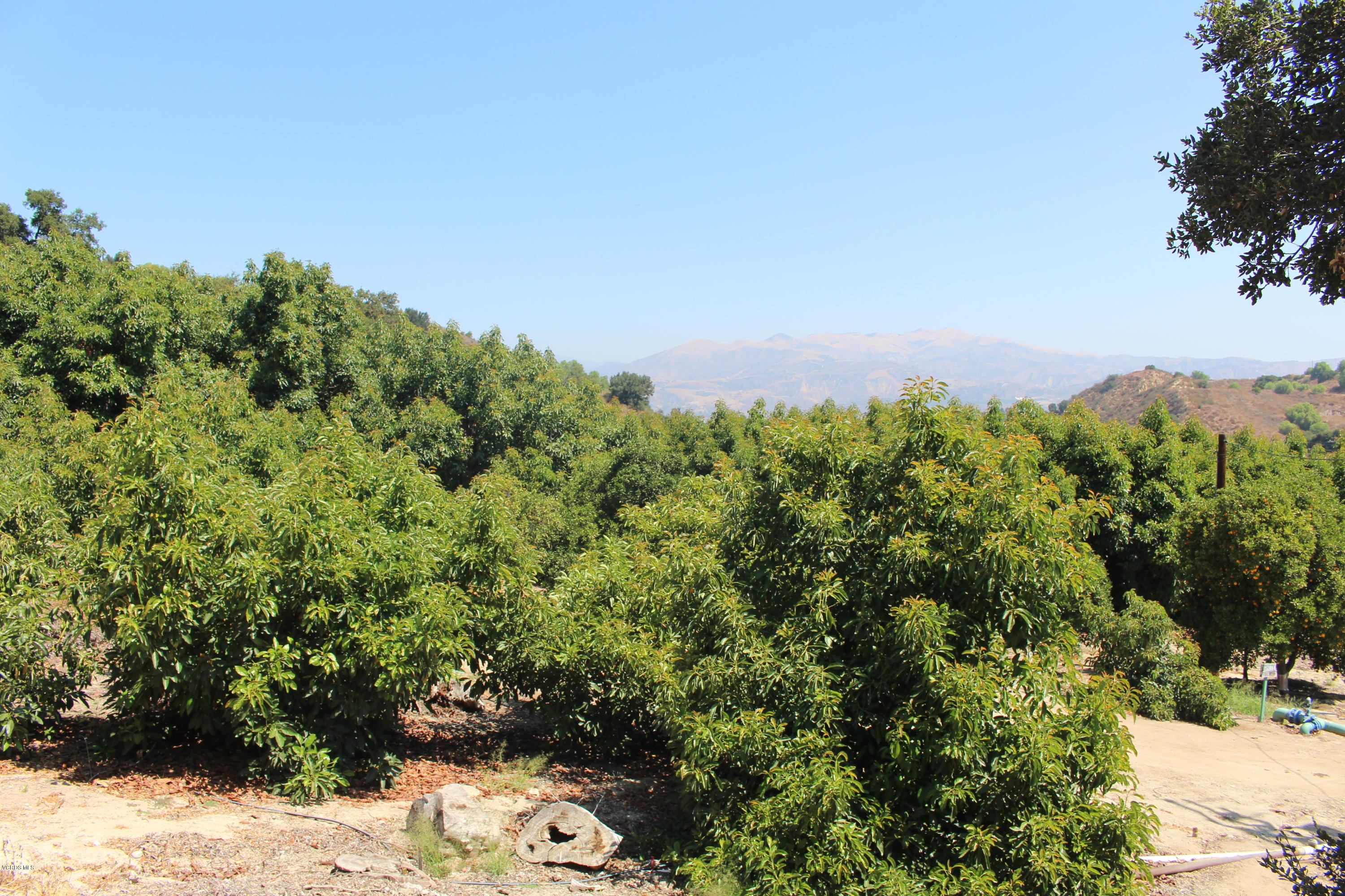 1971 Grimes Canyon Road Fillmore, CA 93015 - Photo 10 of 27 IMG_4709