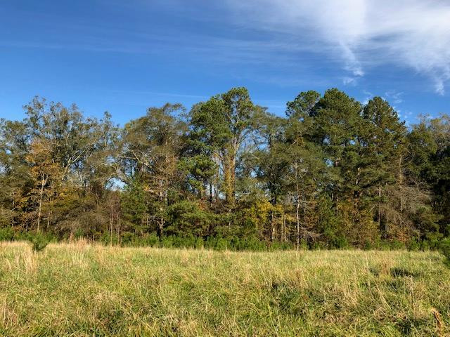 0 Gilpin Road Thomson, GA 30824 - Photo 1 of 10 Main View