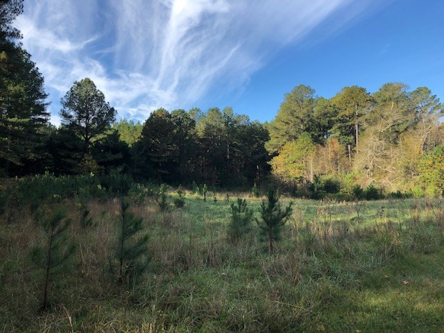 0 Gilpin Road Thomson, GA 30824 - Photo 2 of 10